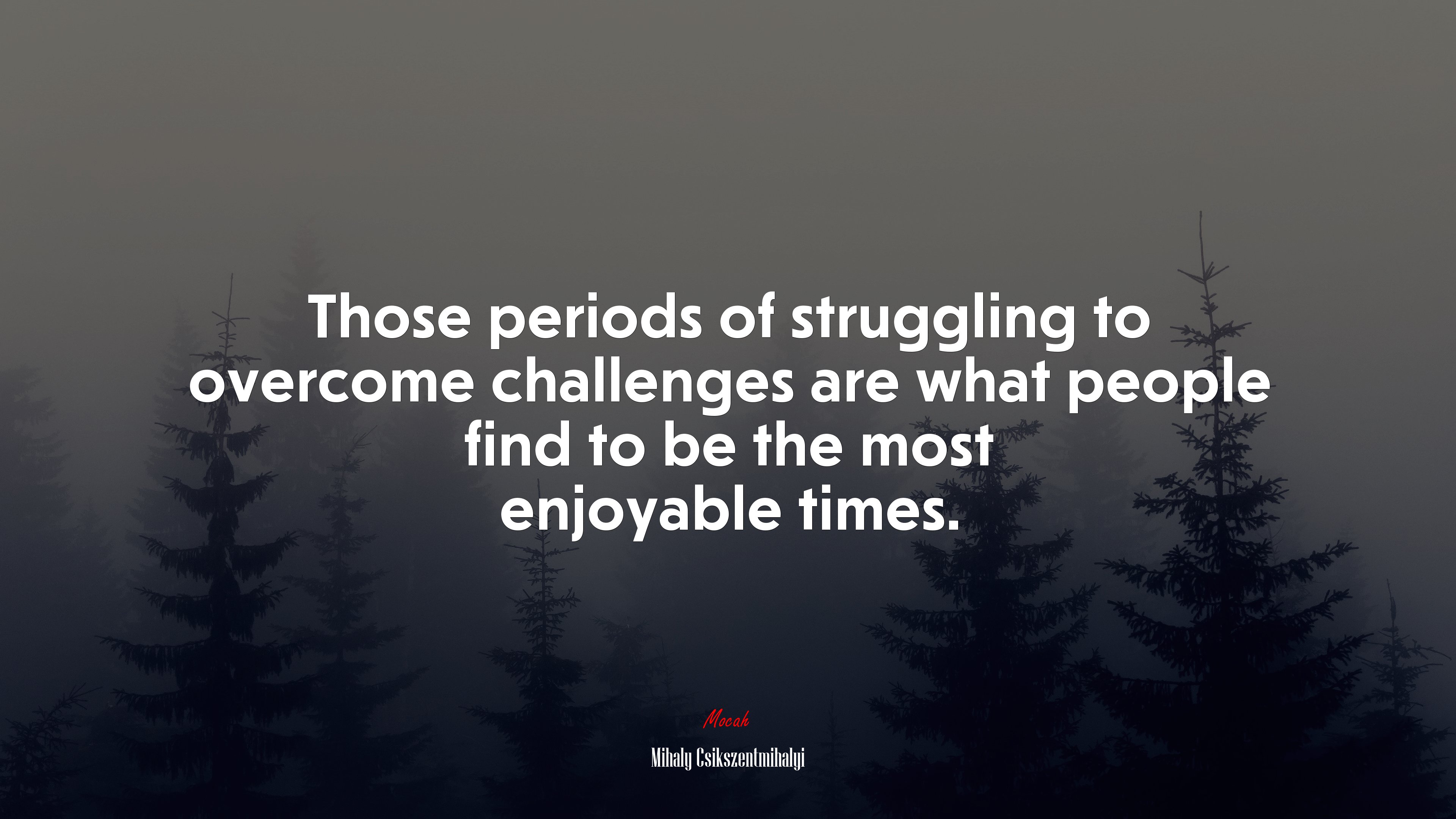 Those periods of struggling to overcome challenges are what people find to be the most enjoyable times. | Mihaly Csikszentmihalyi quote HD Wallpaper