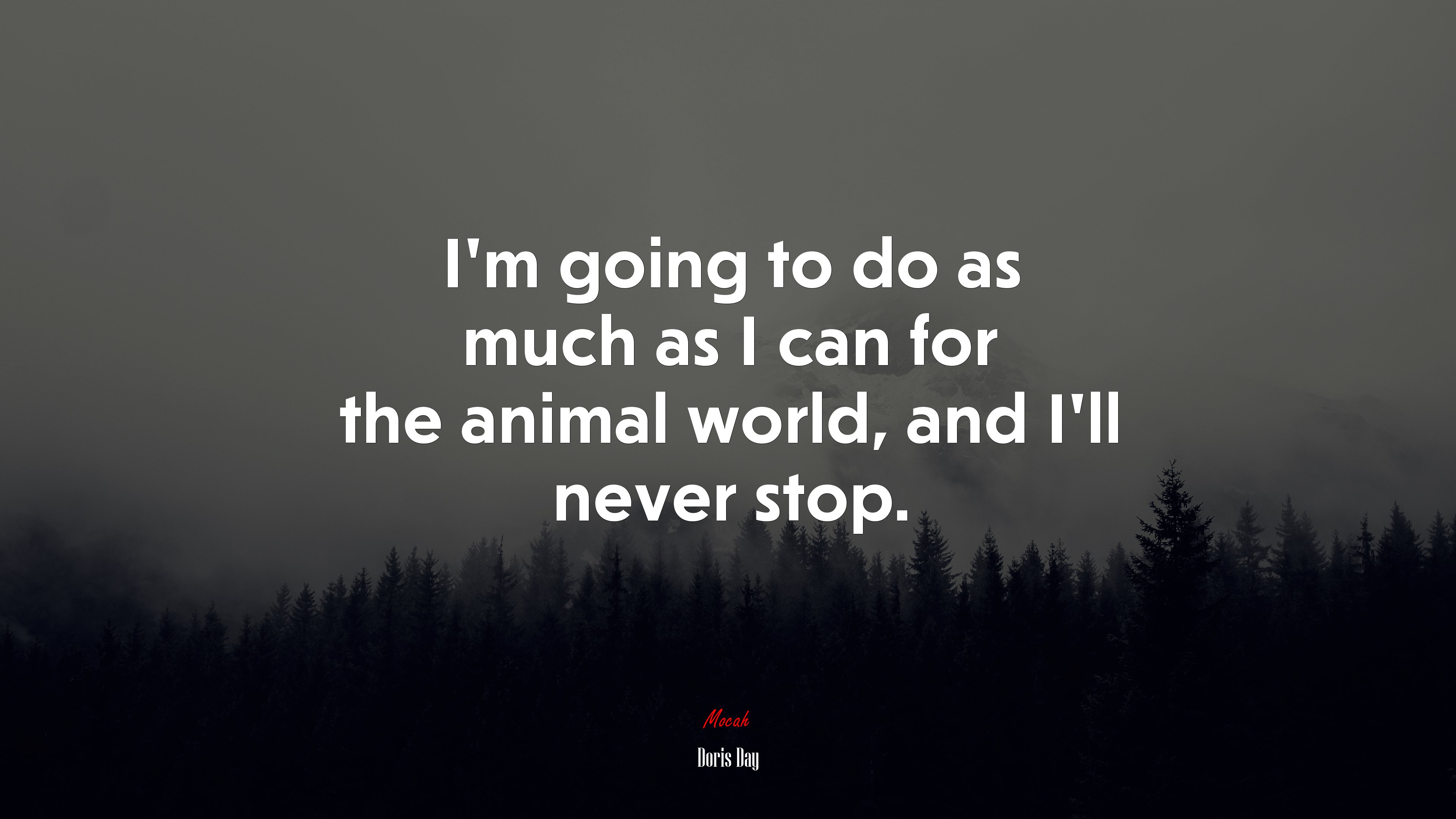 I’m going to do as much as I can for the animal world, and I’ll never stop. | Doris Day quote HD Wallpaper
