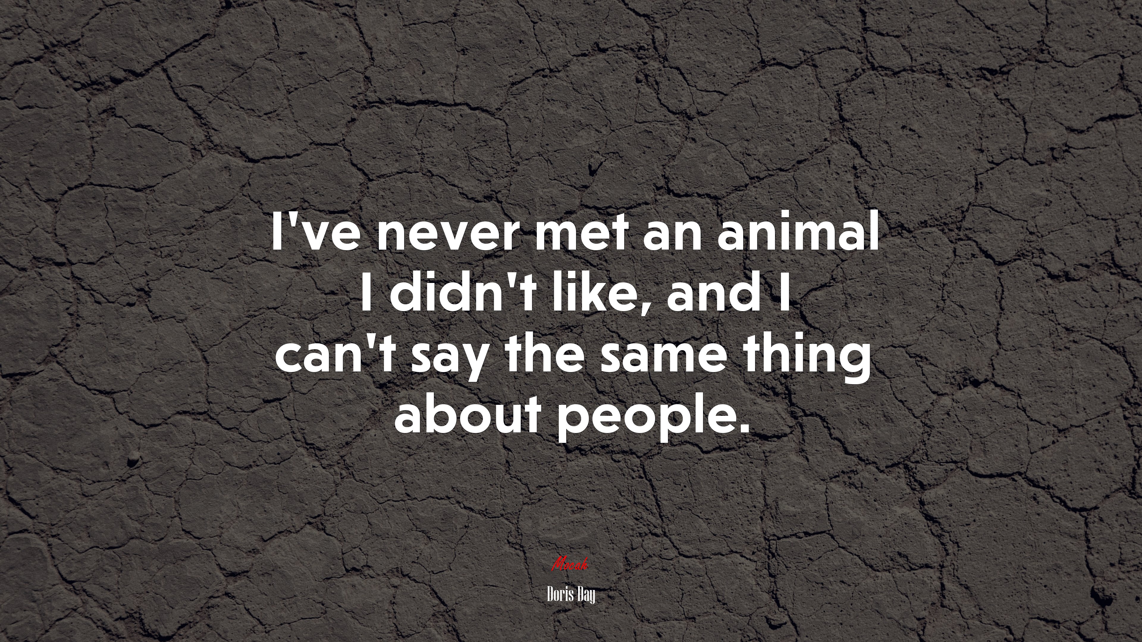 I’ve never met an animal I didn’t like, and I can’t say the same thing about people. | Doris Day quote HD Wallpaper