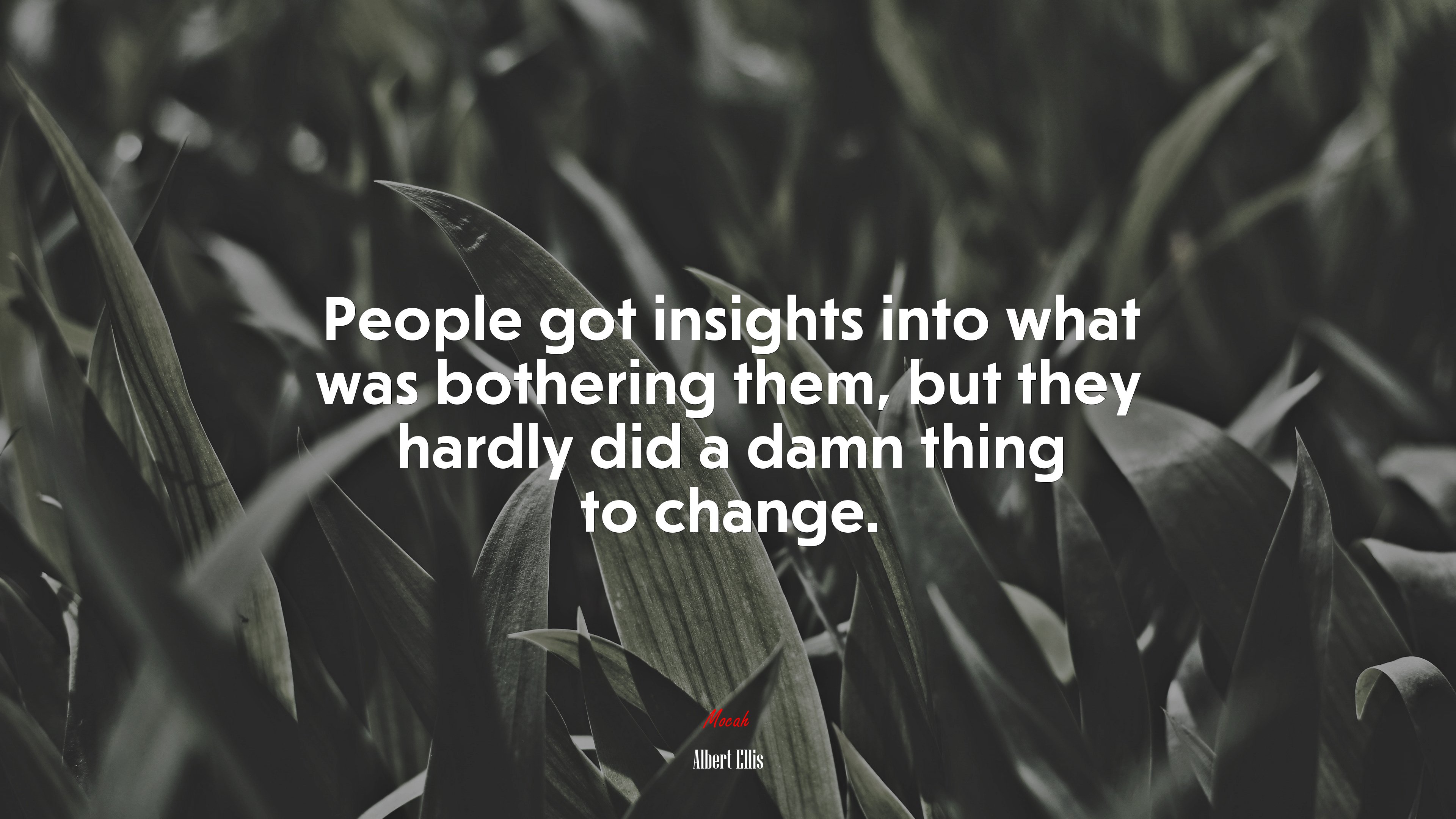 People got insights into what was bothering them, but they hardly did a damn thing to change. | Albert Ellis quote HD Wallpaper