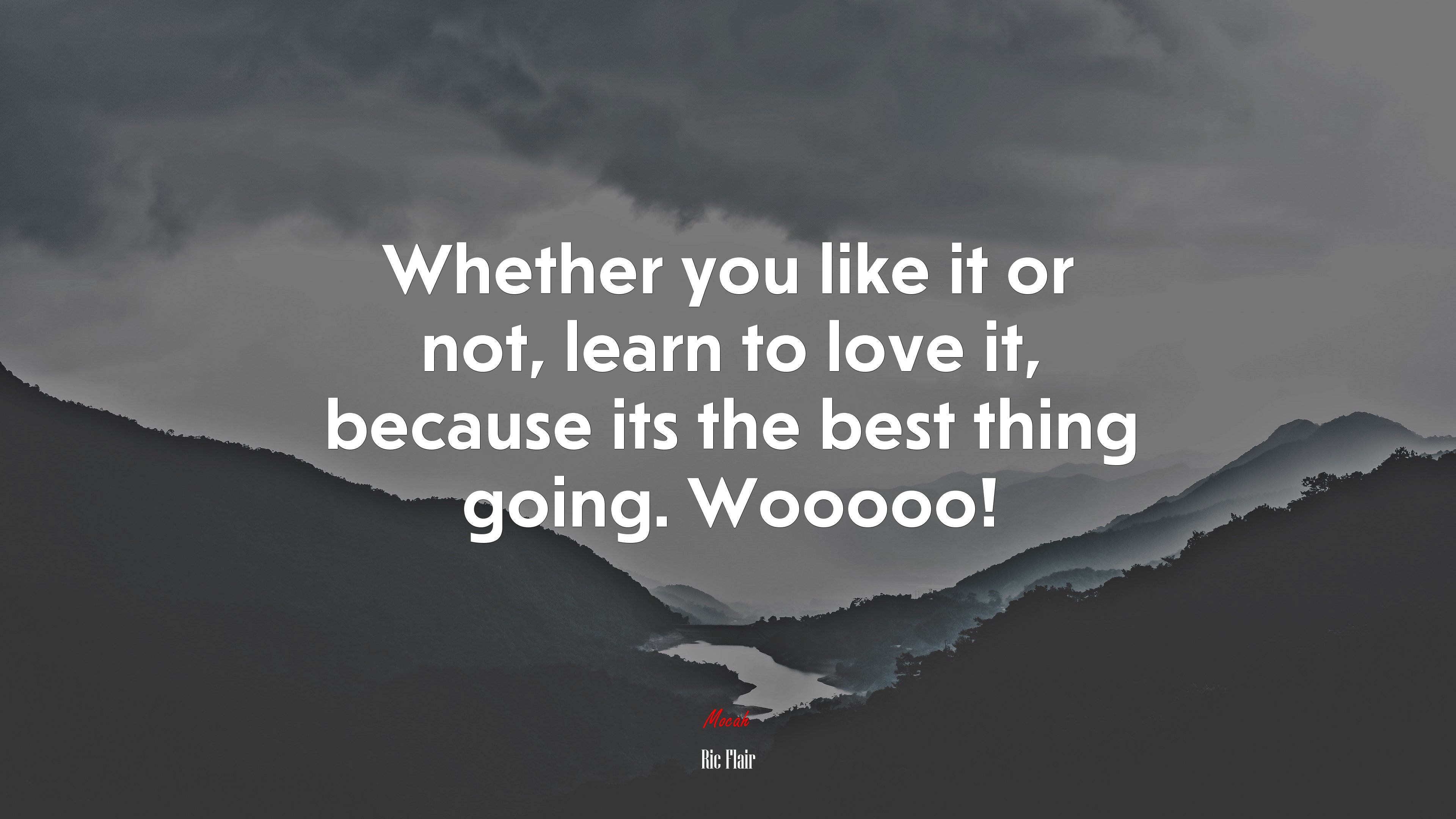 Whether you like it or not, learn to love it, because its the best thing going. Wooooo! | Ric Flair quote HD Wallpaper