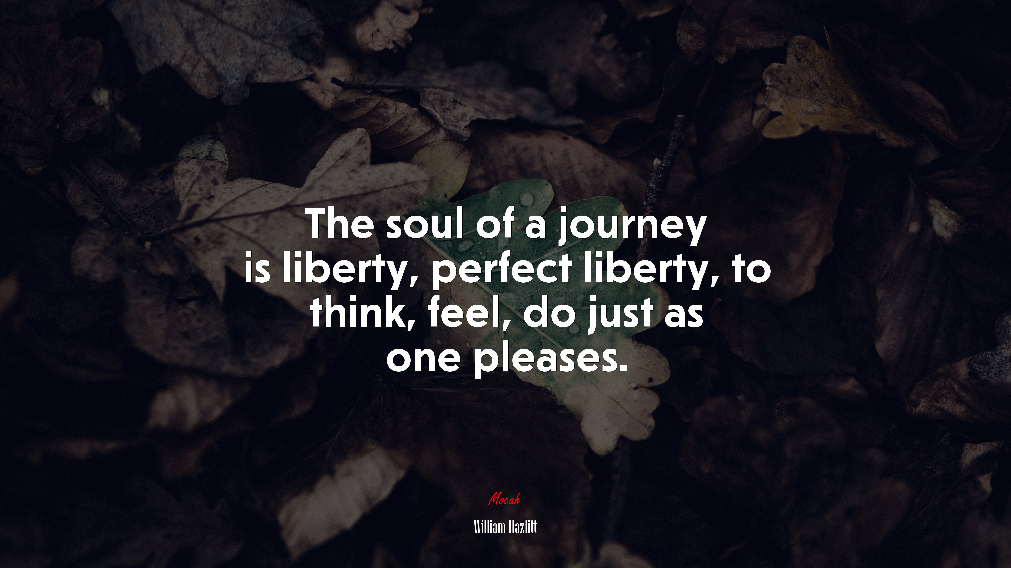 The soul of a journey is liberty, perfect liberty, to think, feel, do just as one pleases. | William Hazlitt quote HD Wallpaper