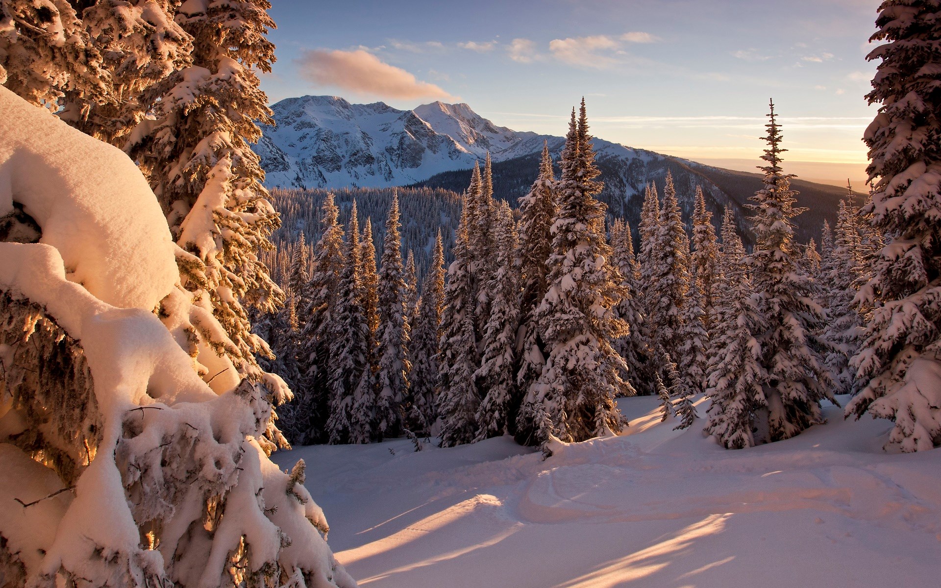 Snow-covered pine forest with mountains at sunset HD Wallpaper