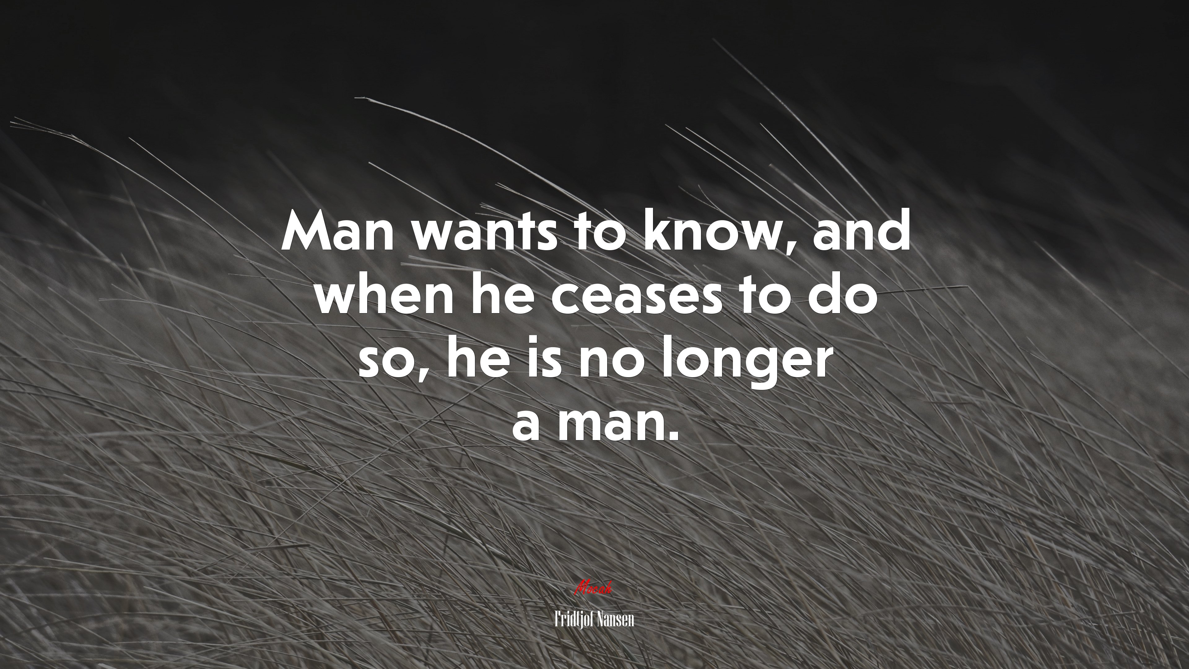 Man wants to know, and when he ceases to do so, he is no longer a man. | Fridtjof Nansen quote HD Wallpaper