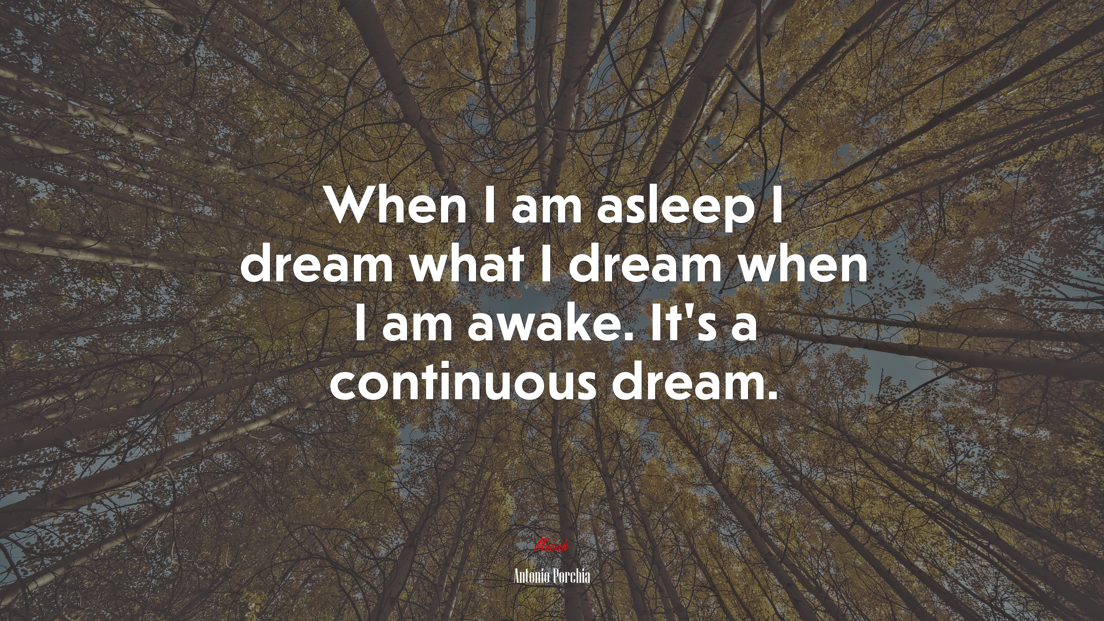 When I am asleep I dream what I dream when I am awake. It’s a continuous dream. | Antonio Porchia quote HD Wallpaper