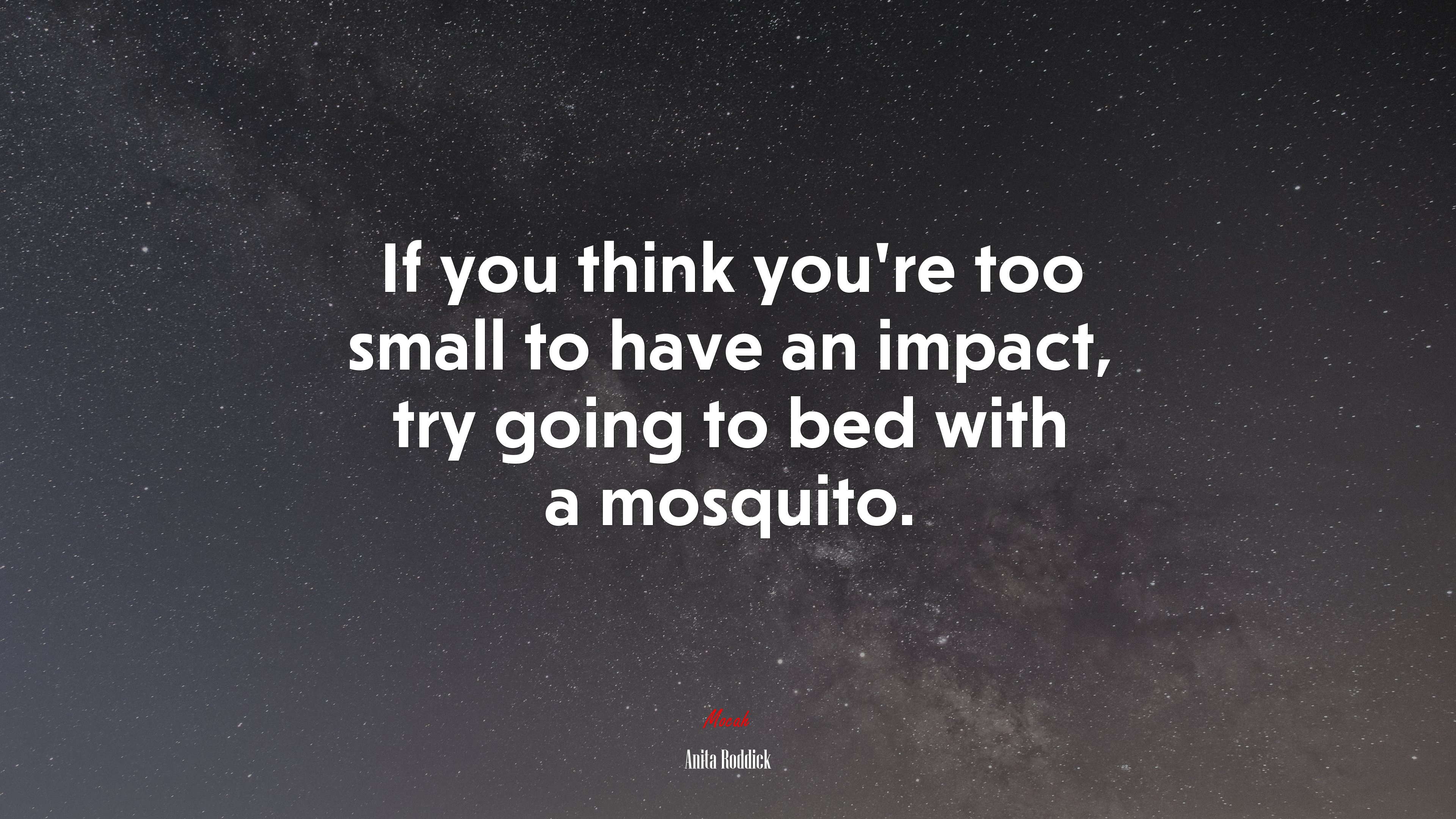 If you think you’re too small to have an impact, try going to bed with a mosquito. | Anita Roddick quote HD Wallpaper