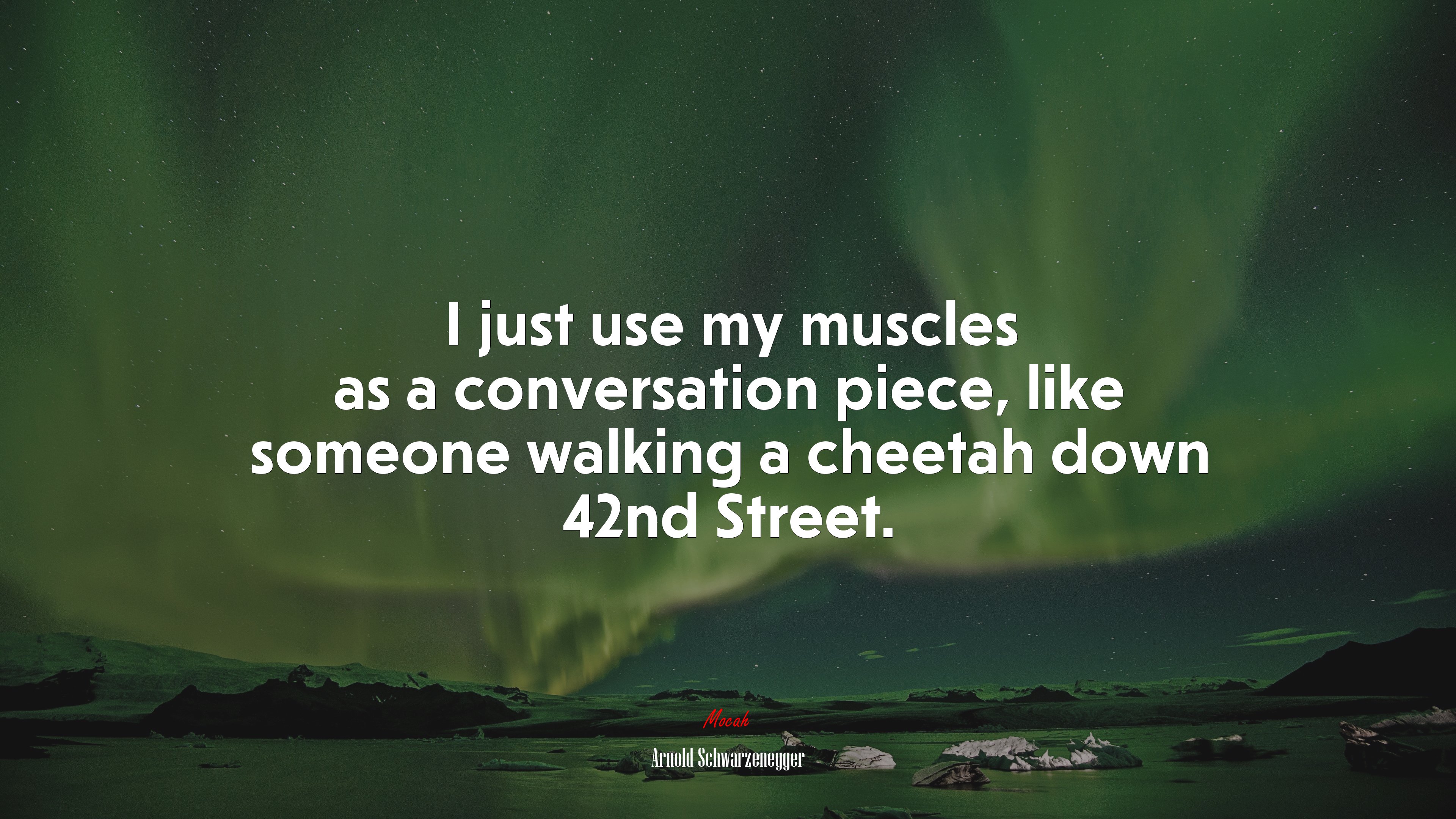 I just use my muscles as a conversation piece, like someone walking a cheetah down 42nd Street. | Arnold Schwarzenegger quote HD Wallpaper