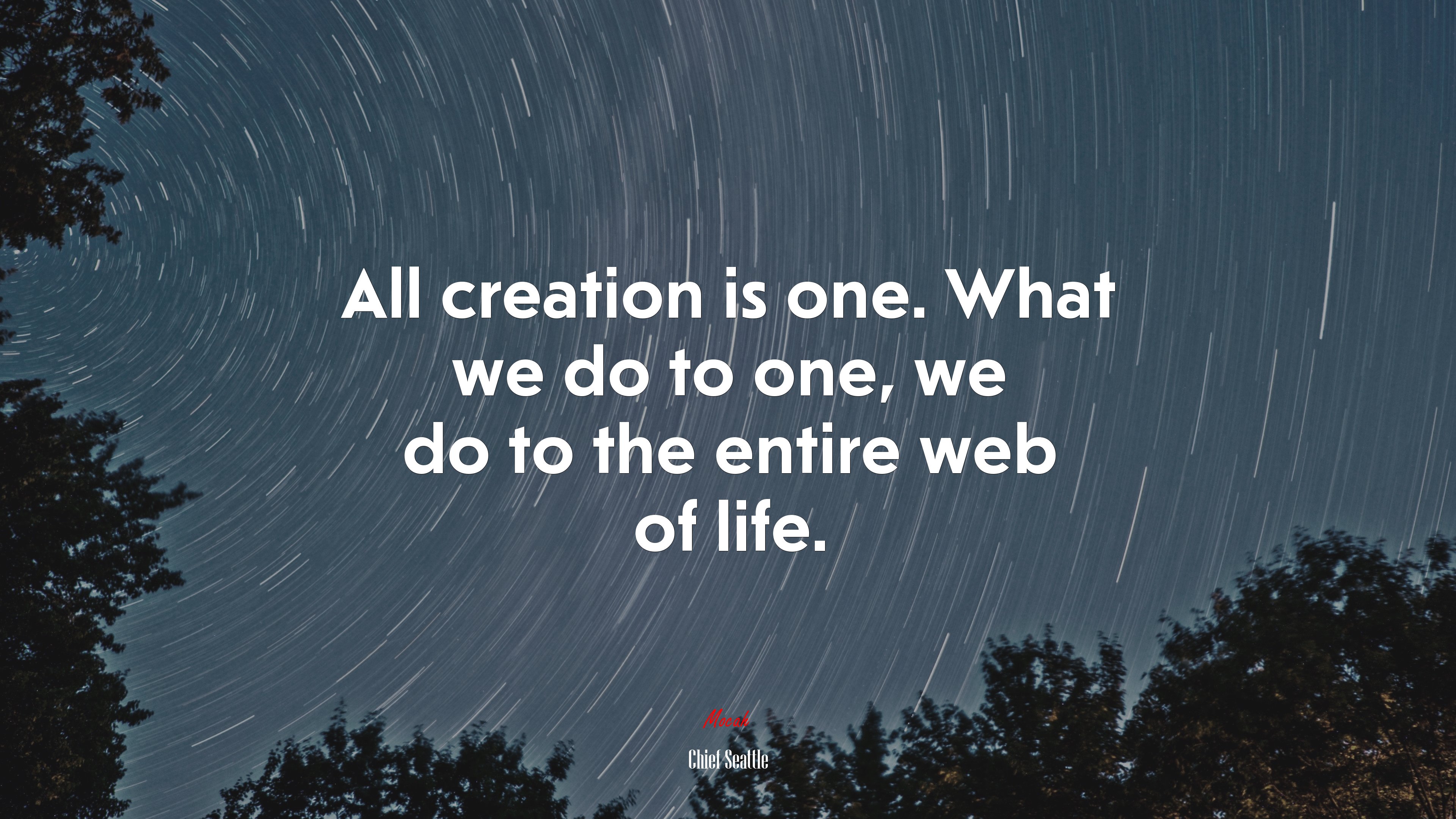 All creation is one. What we do to one, we do to the entire web of life. | Chief Seattle quote HD Wallpaper