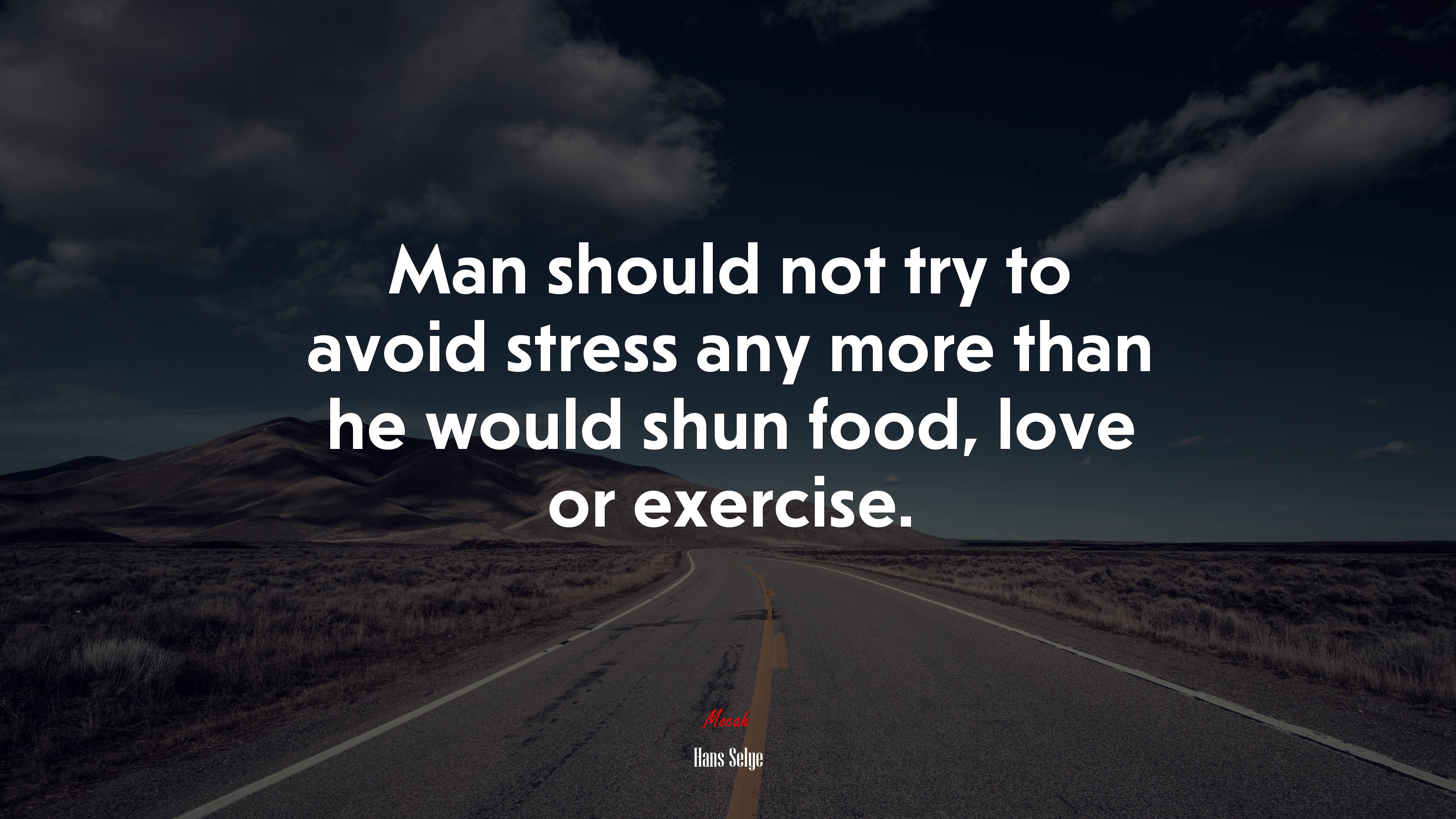 Man should not try to avoid stress any more than he would shun food, love or exercise. | Hans Selye quote HD Wallpaper
