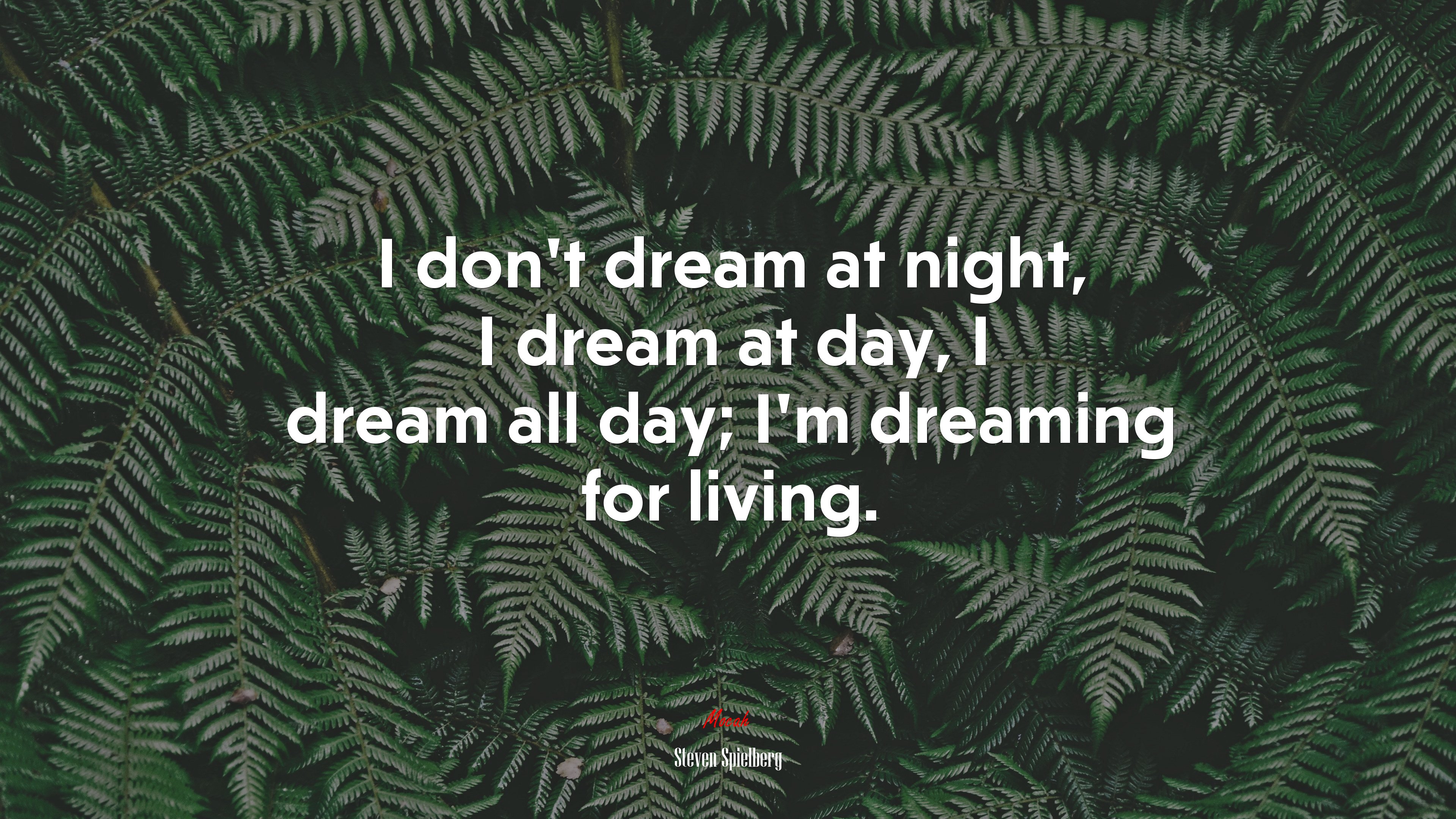 I don’t dream at night, I dream at day, I dream all day; I’m dreaming for living. | Steven Spielberg quote HD Wallpaper