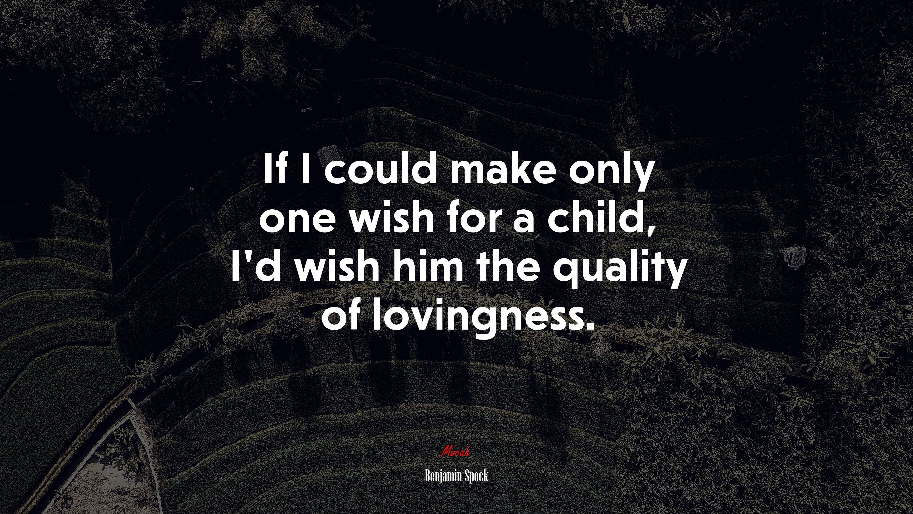 If I could make only one wish for a child, I’d wish him the quality of lovingness. | Benjamin Spock quote HD Wallpaper