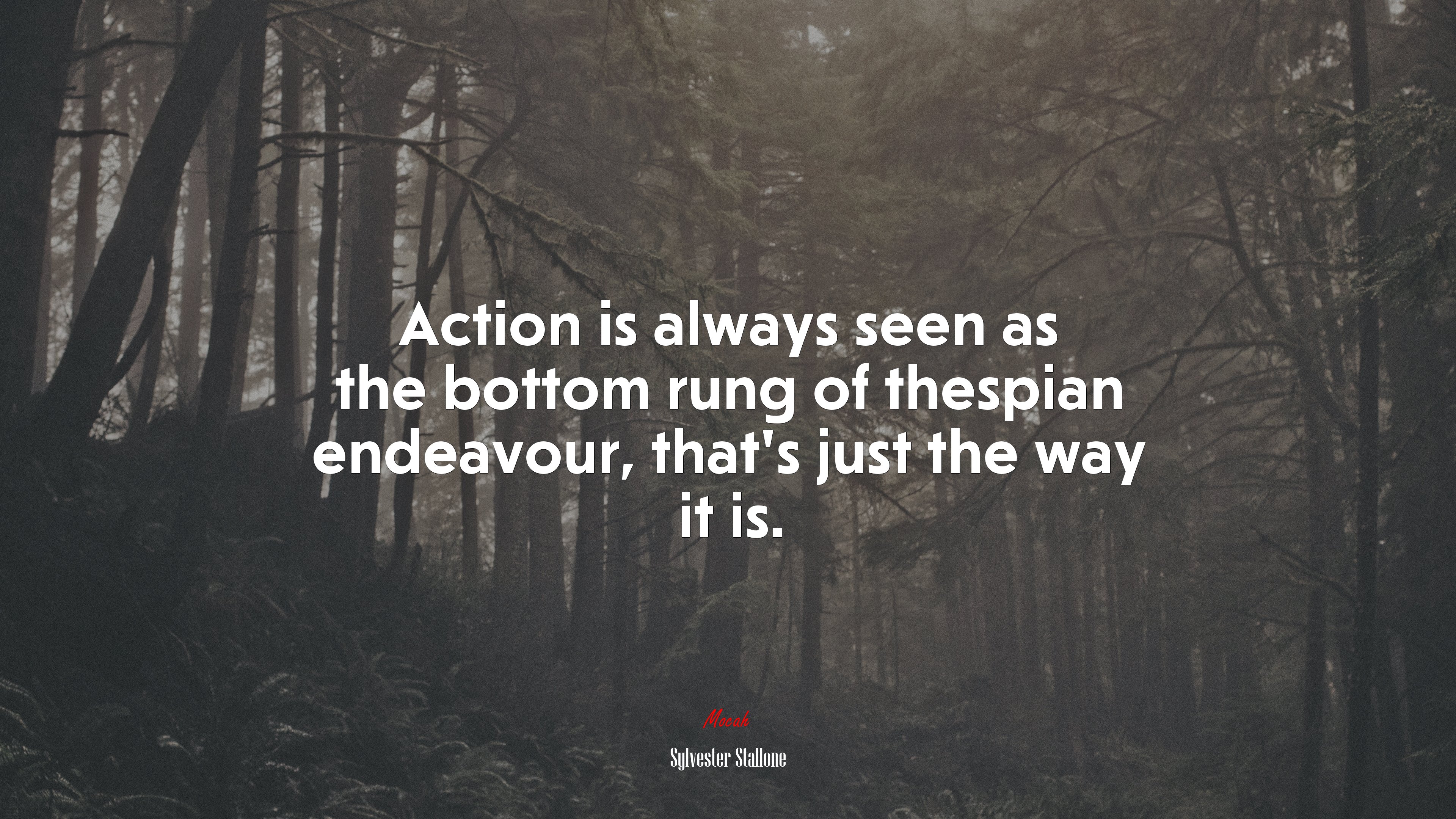 Action is always seen as the bottom rung of thespian endeavour, that’s just the way it is. | Sylvester Stallone quote HD Wallpaper
