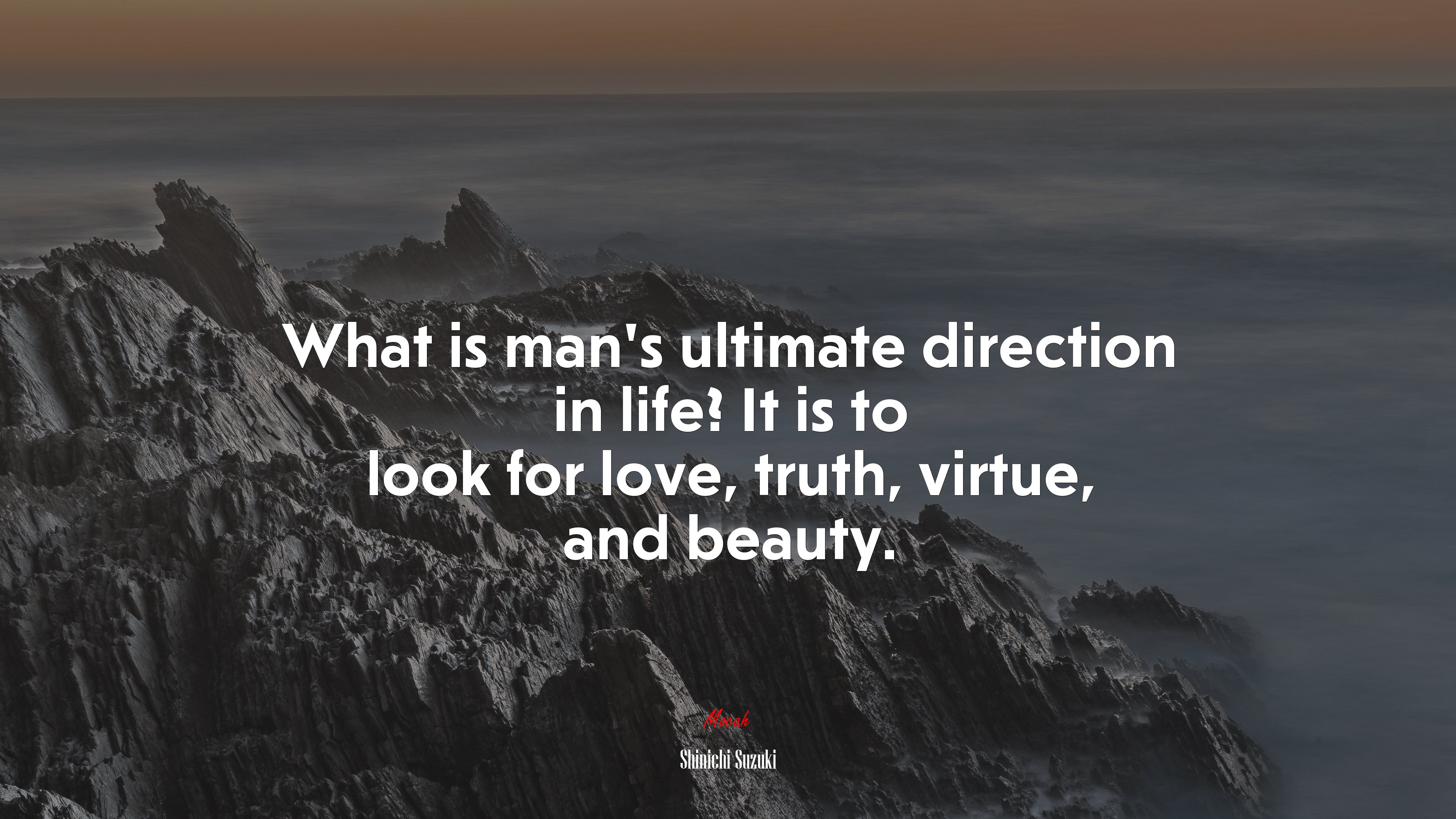 What is man’s ultimate direction in life? It is to look for love, truth, virtue, and beauty. | Shinichi Suzuki quote HD Wallpaper
