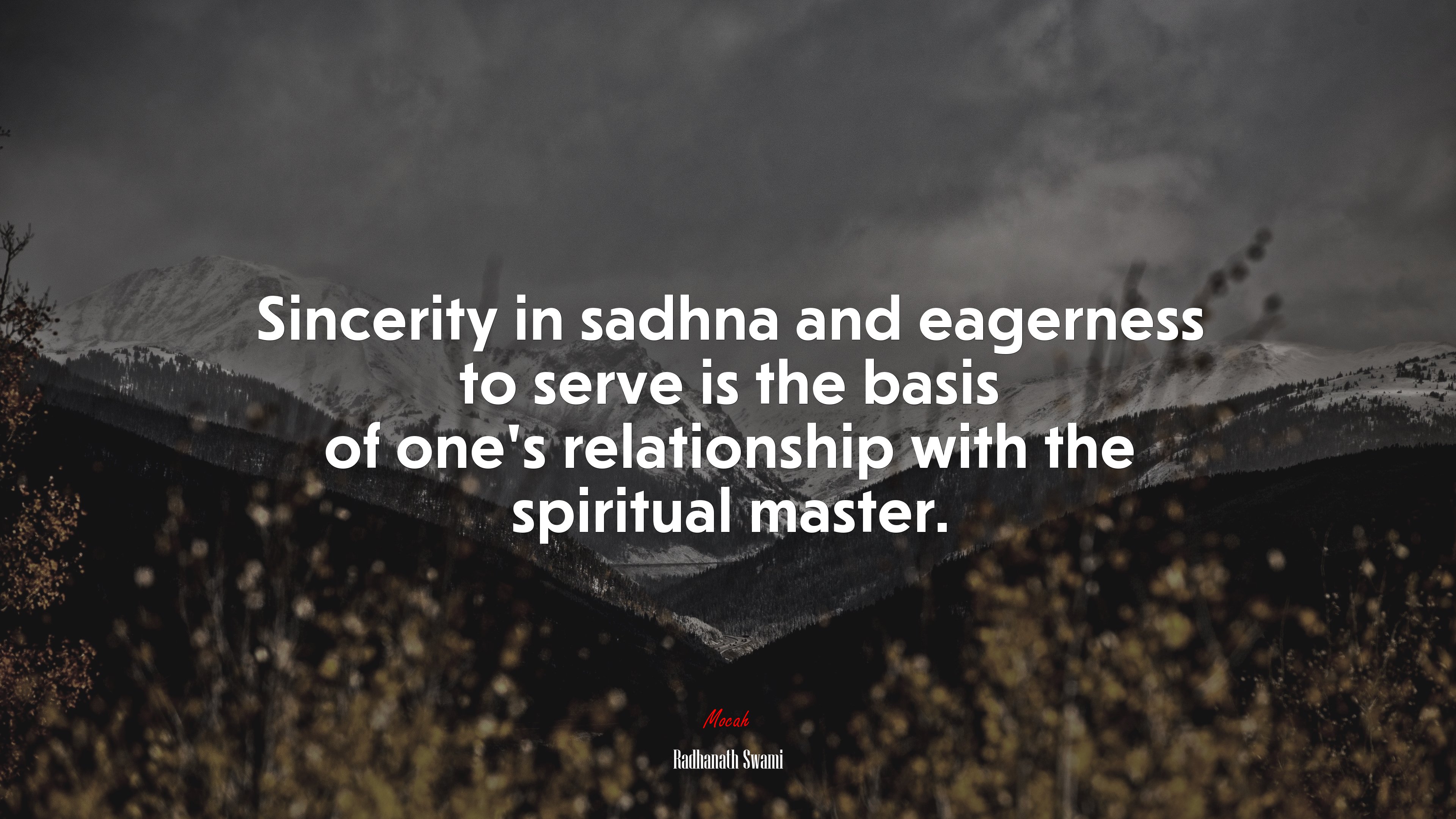 Sincerity in sadhna and eagerness to serve is the basis of one’s relationship with the spiritual master. | Radhanath Swami quote HD Wallpaper