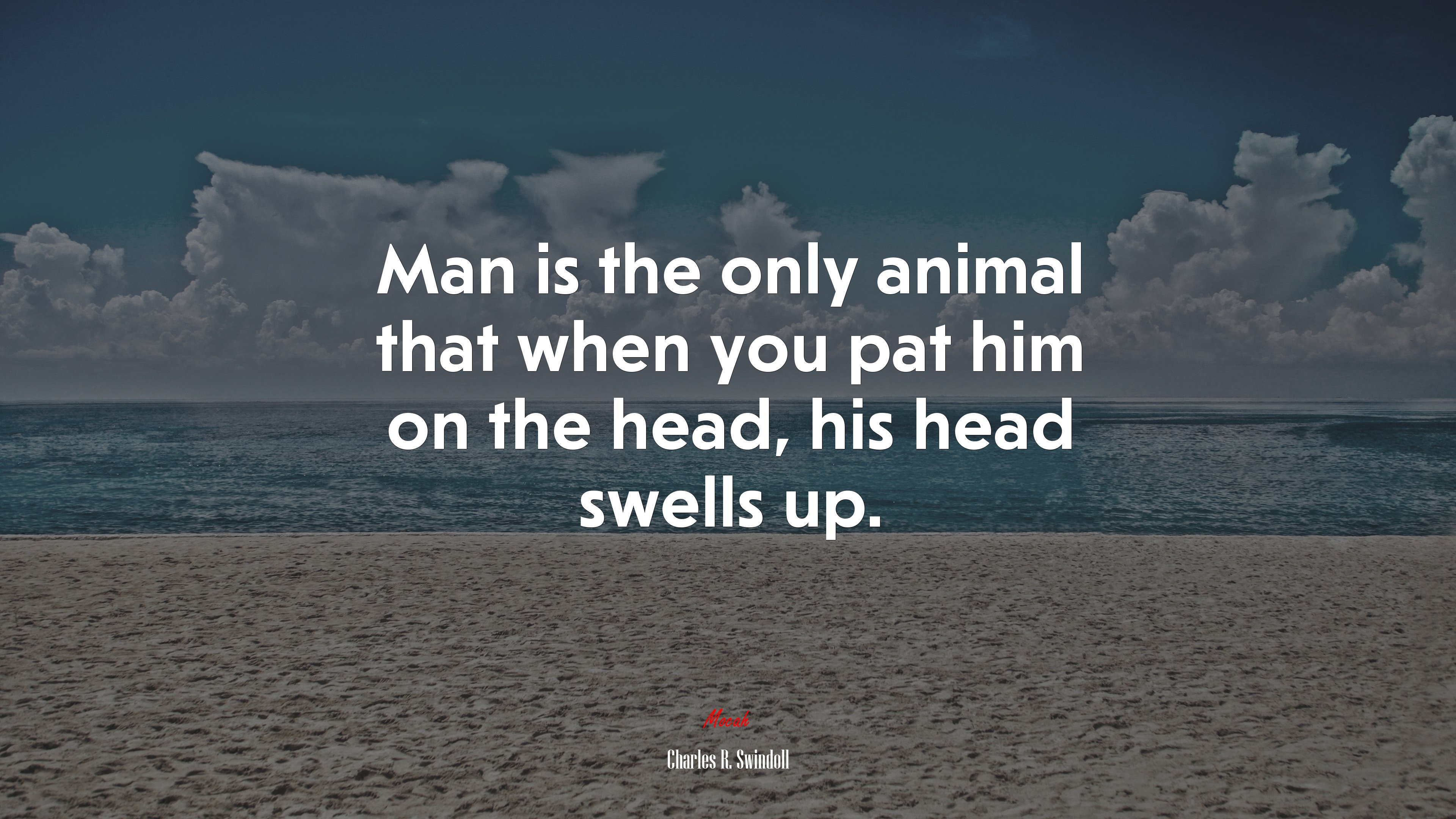 Man is the only animal that when you pat him on the head, his head swells up. | Charles R. Swindoll quote HD Wallpaper