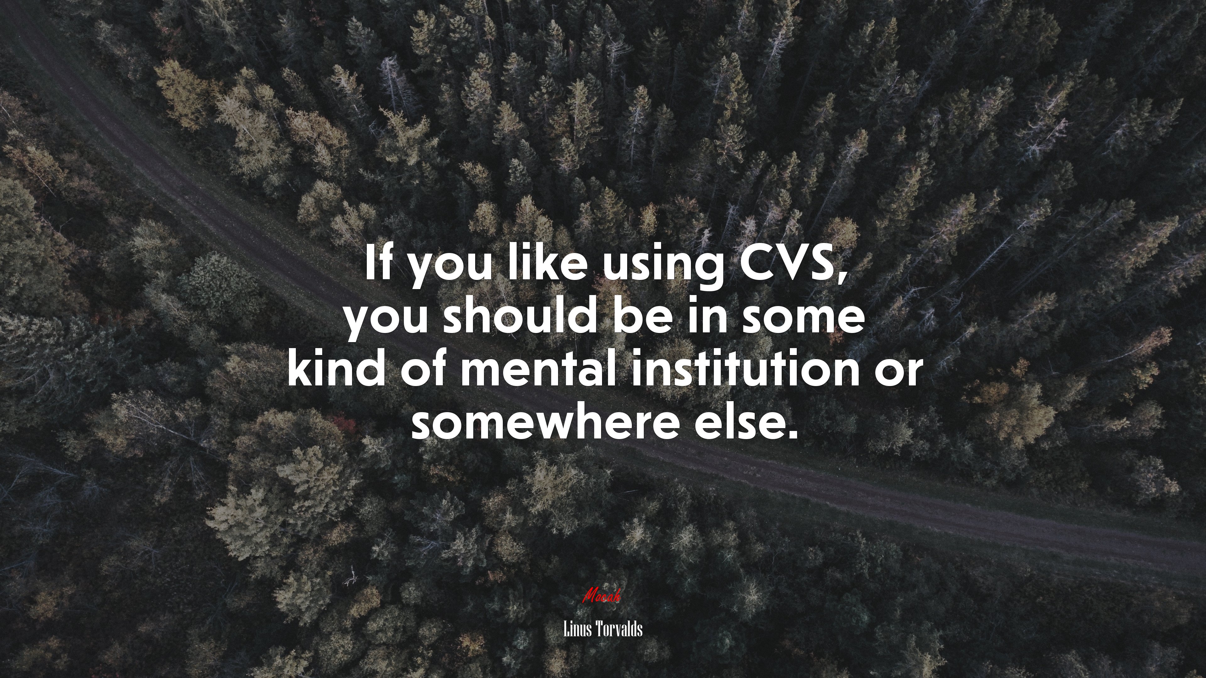 If you like using CVS, you should be in some kind of mental institution or somewhere else. | Linus Torvalds quote HD Wallpaper