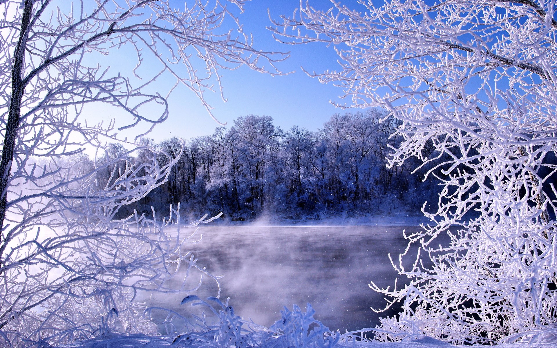 Frost-covered trees by a misty river HD Wallpaper