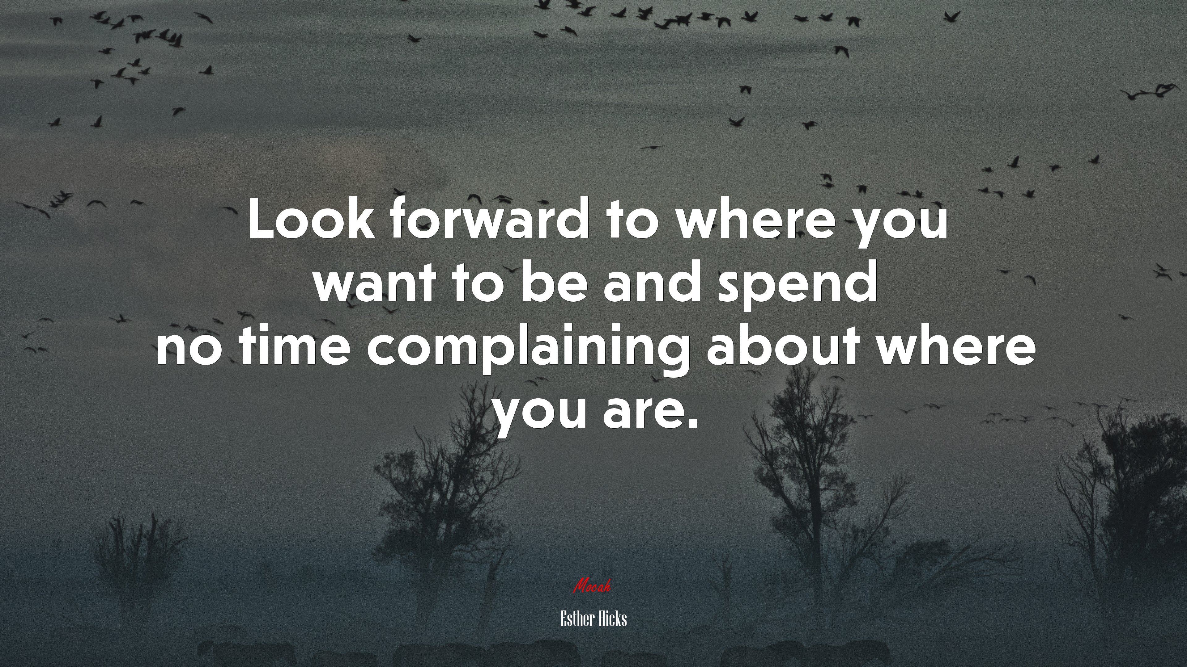 Look forward to where you want to be and spend no time complaining about where you are. | Esther Hicks quote HD Wallpaper