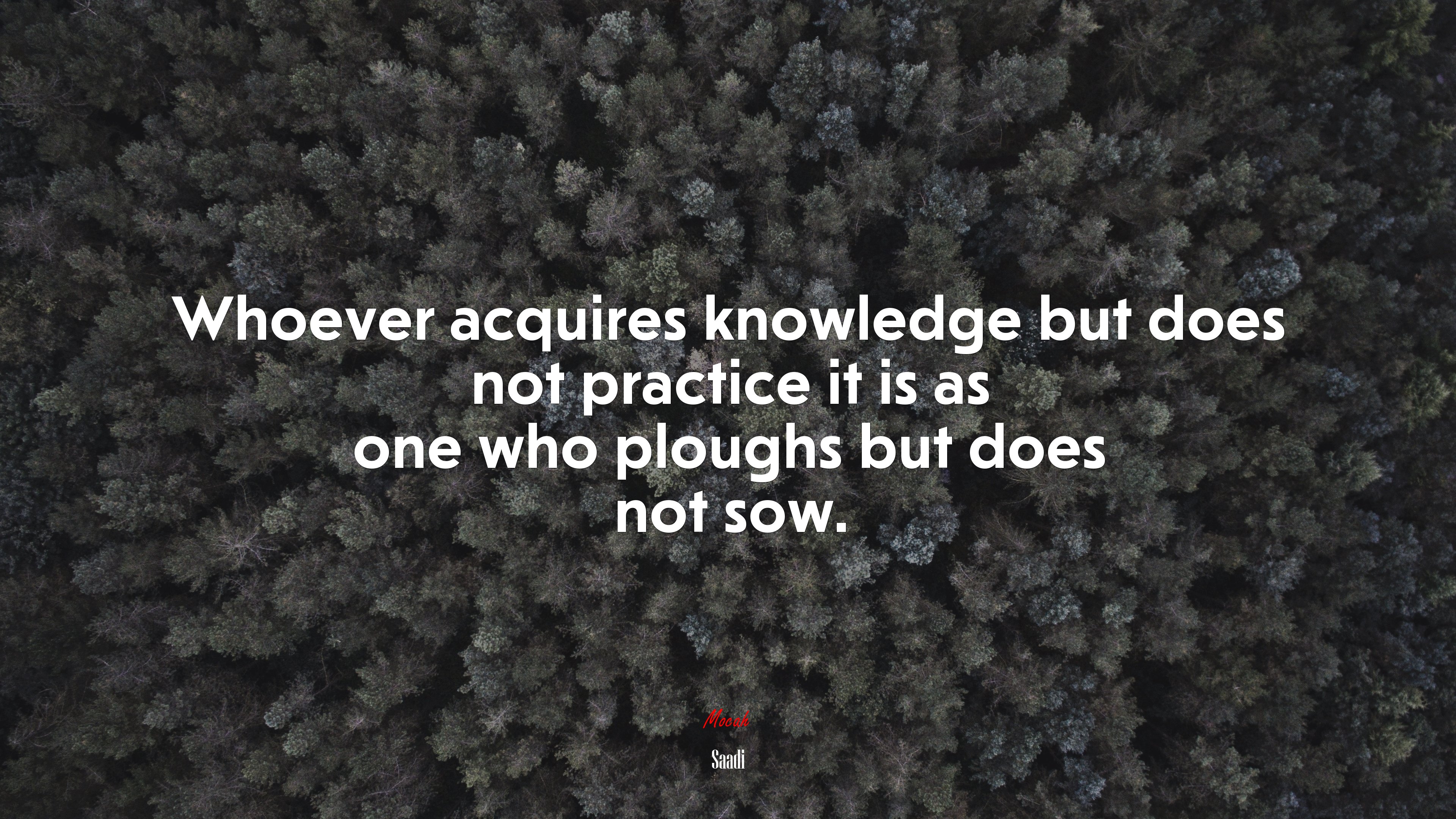 Whoever acquires knowledge but does not practice it is as one who ploughs but does not sow. | Saadi quote HD Wallpaper