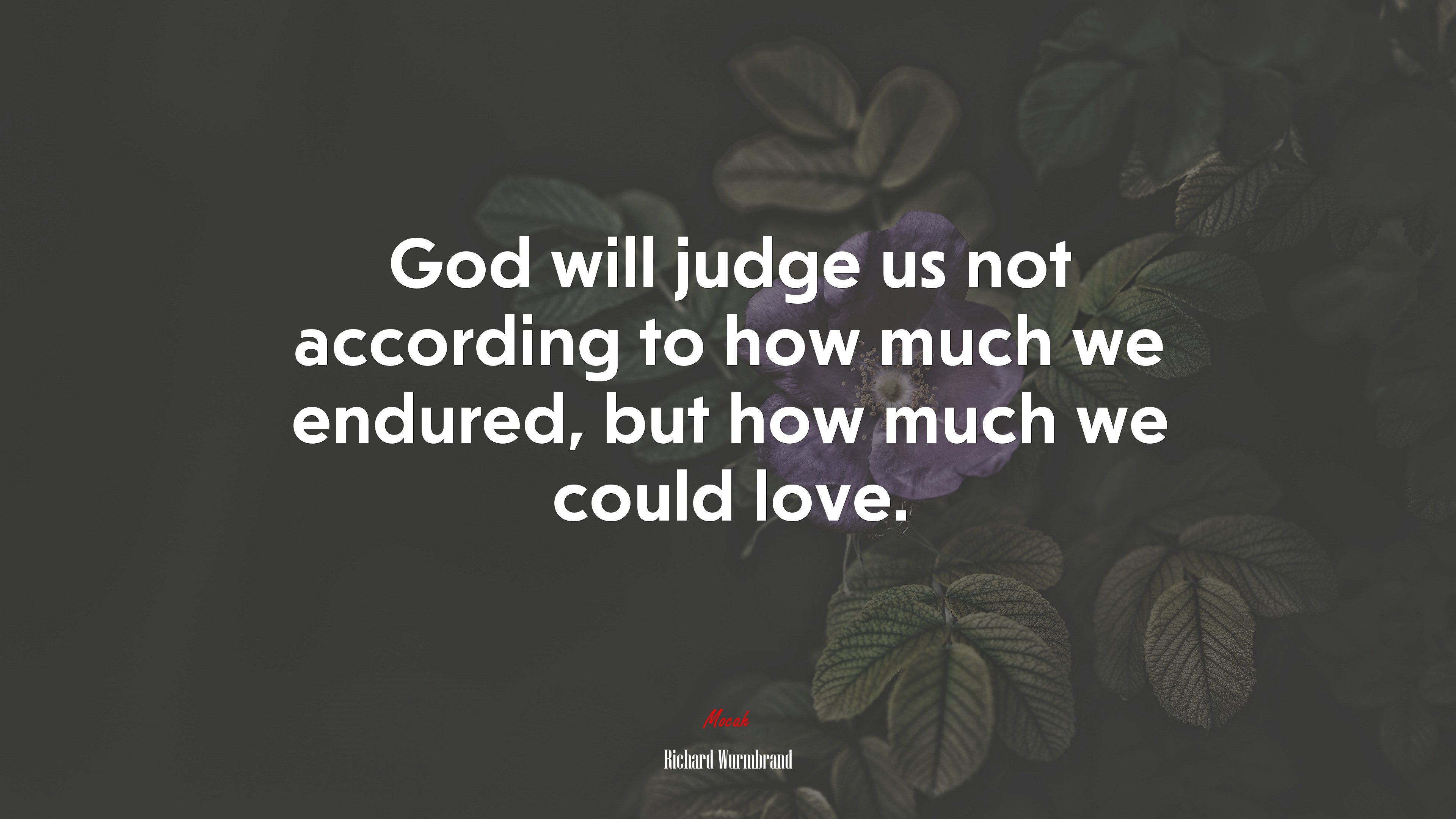 God will judge us not according to how much we endured, but how much we could love. | Richard Wurmbrand quote HD Wallpaper