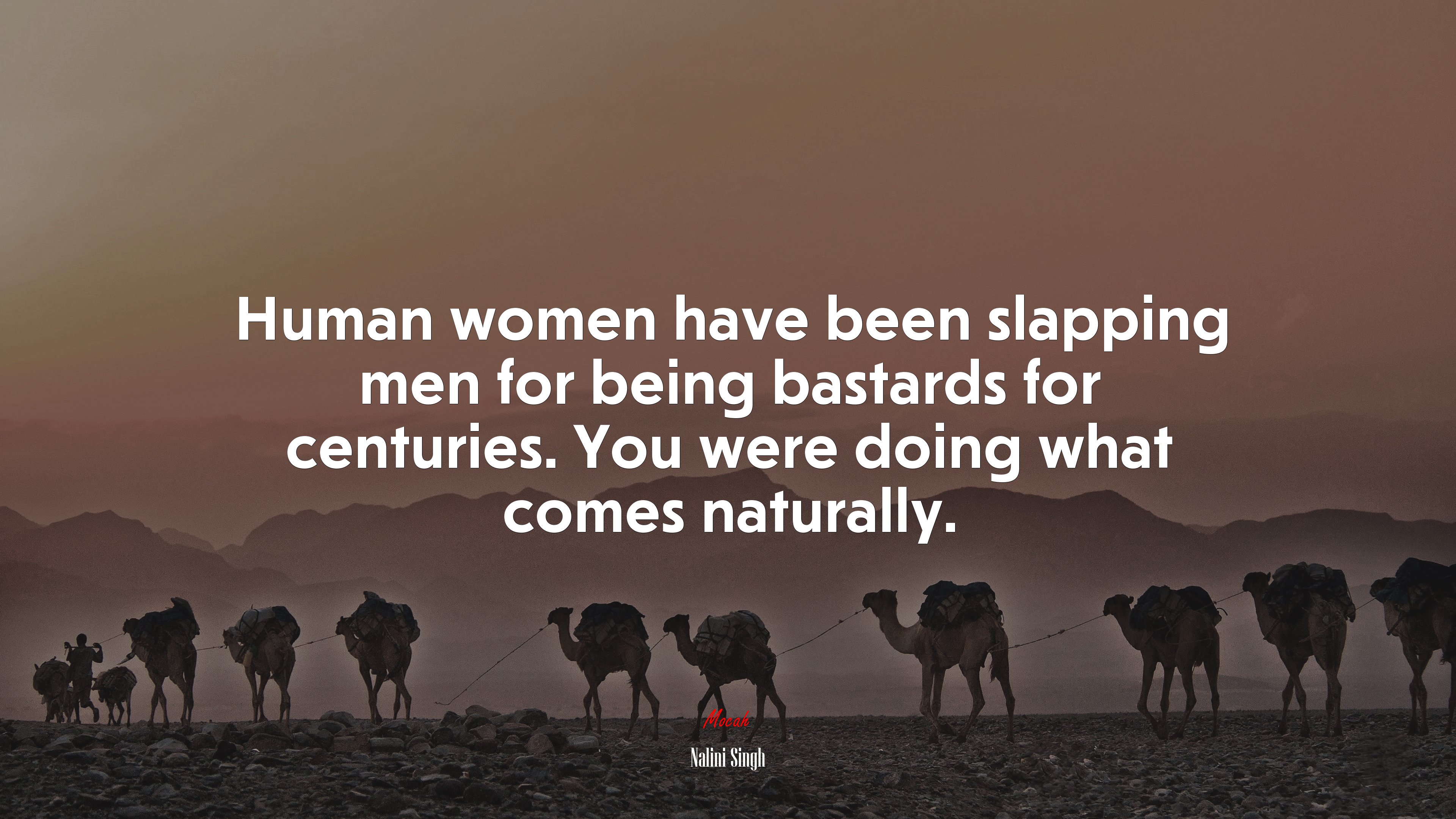 Human women have been slapping men for being bastards for centuries. You were doing what comes naturally. | Nalini Singh quote HD Wallpaper