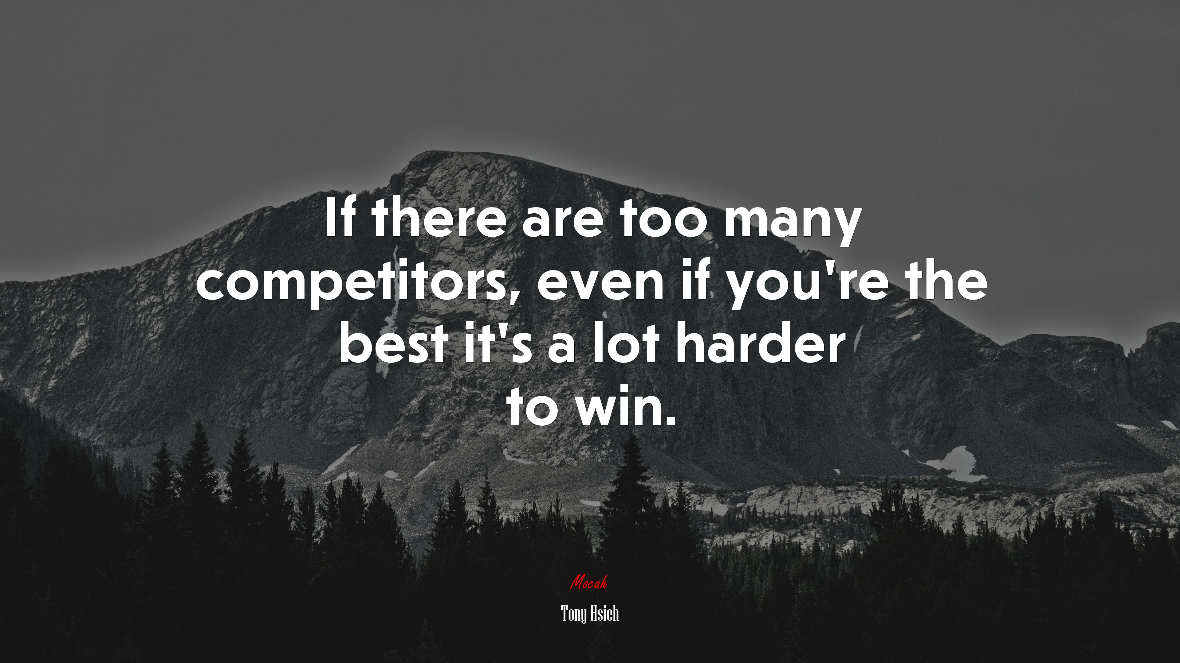 If there are too many competitors, even if you’re the best it’s a lot harder to win. | Tony Hsieh quote HD Wallpaper