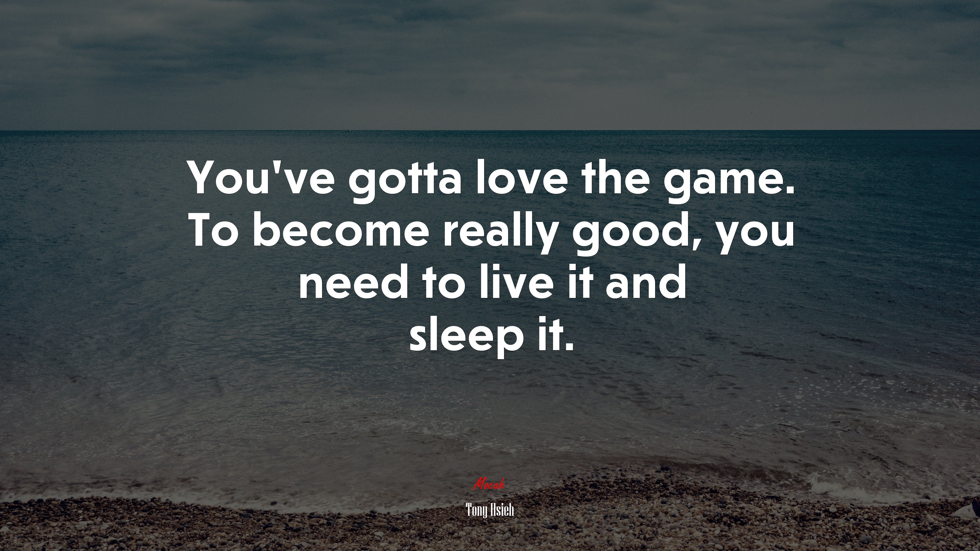 You’ve gotta love the game. To become really good, you need to live it and sleep it. | Tony Hsieh quote HD Wallpaper