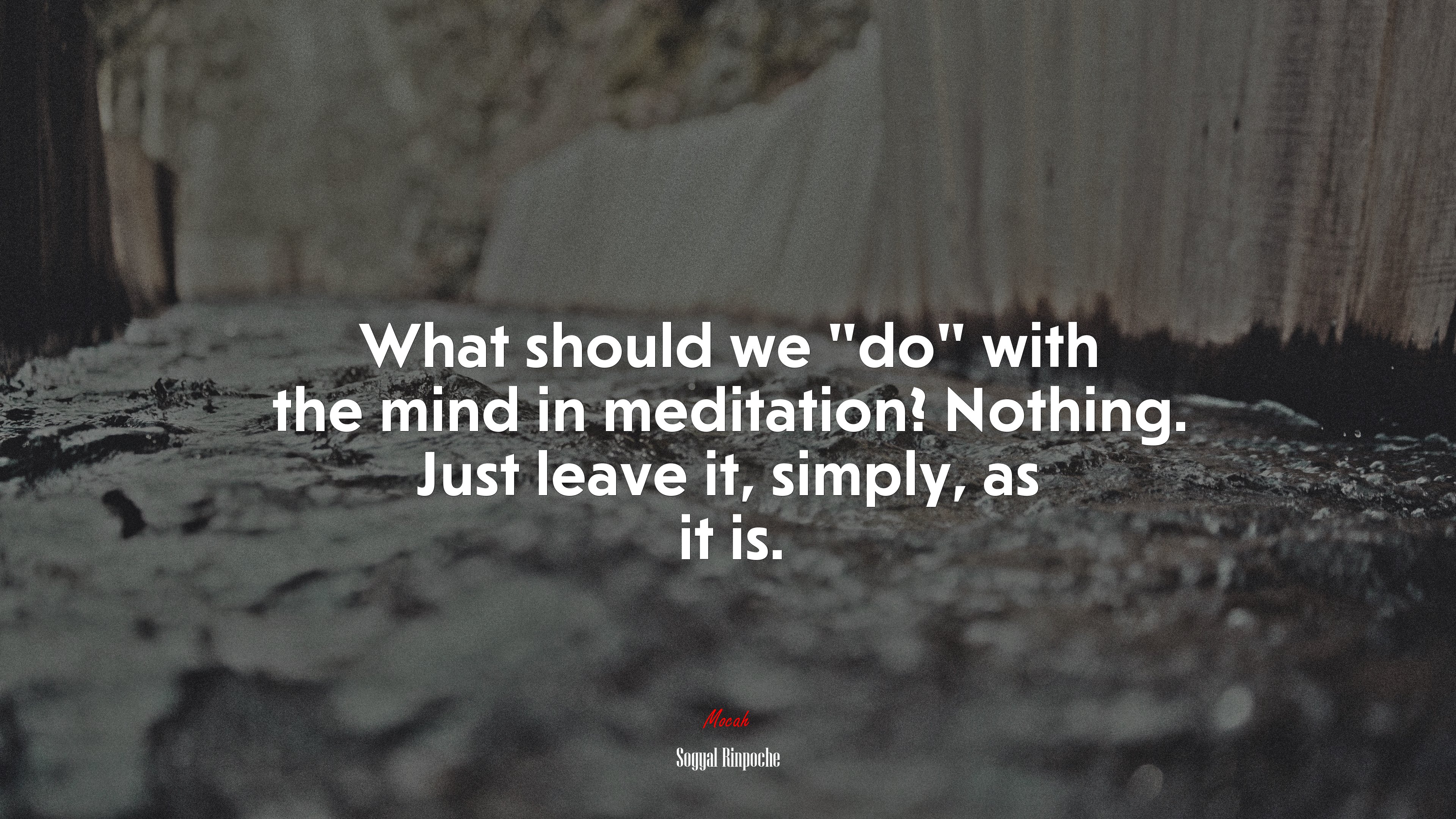 What should we “do” with the mind in meditation? Nothing. Just leave it, simply, as it is. | Sogyal Rinpoche quote HD Wallpaper