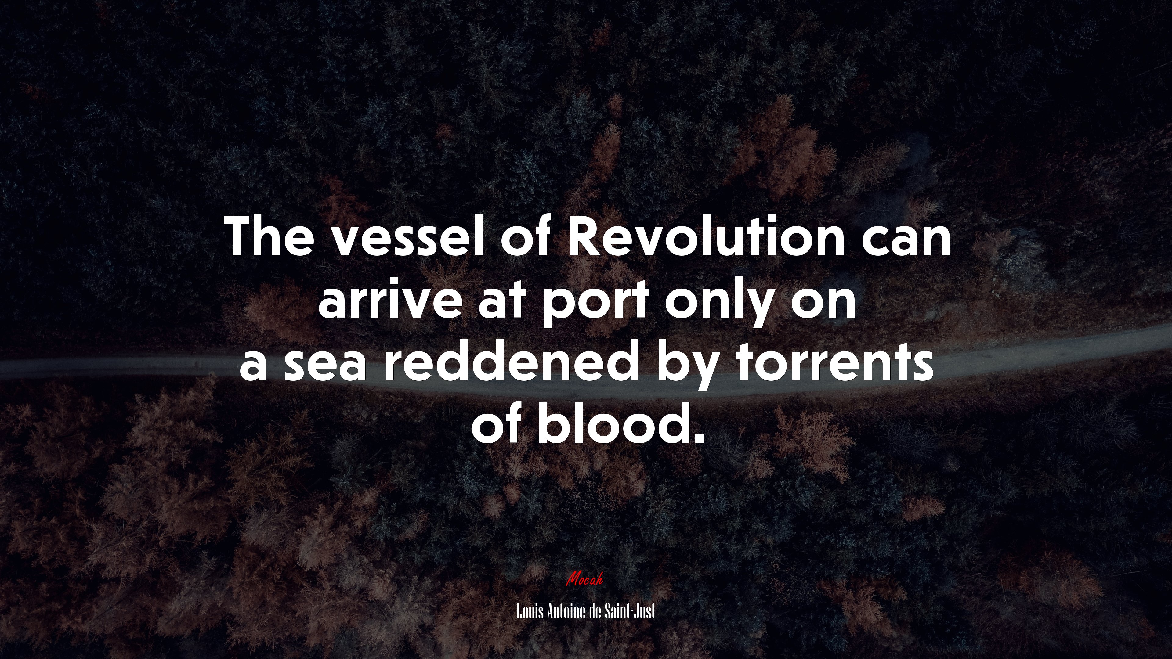 The vessel of Revolution can arrive at port only on a sea reddened by torrents of blood. | Louis Antoine de Saint-Just quote HD Wallpaper