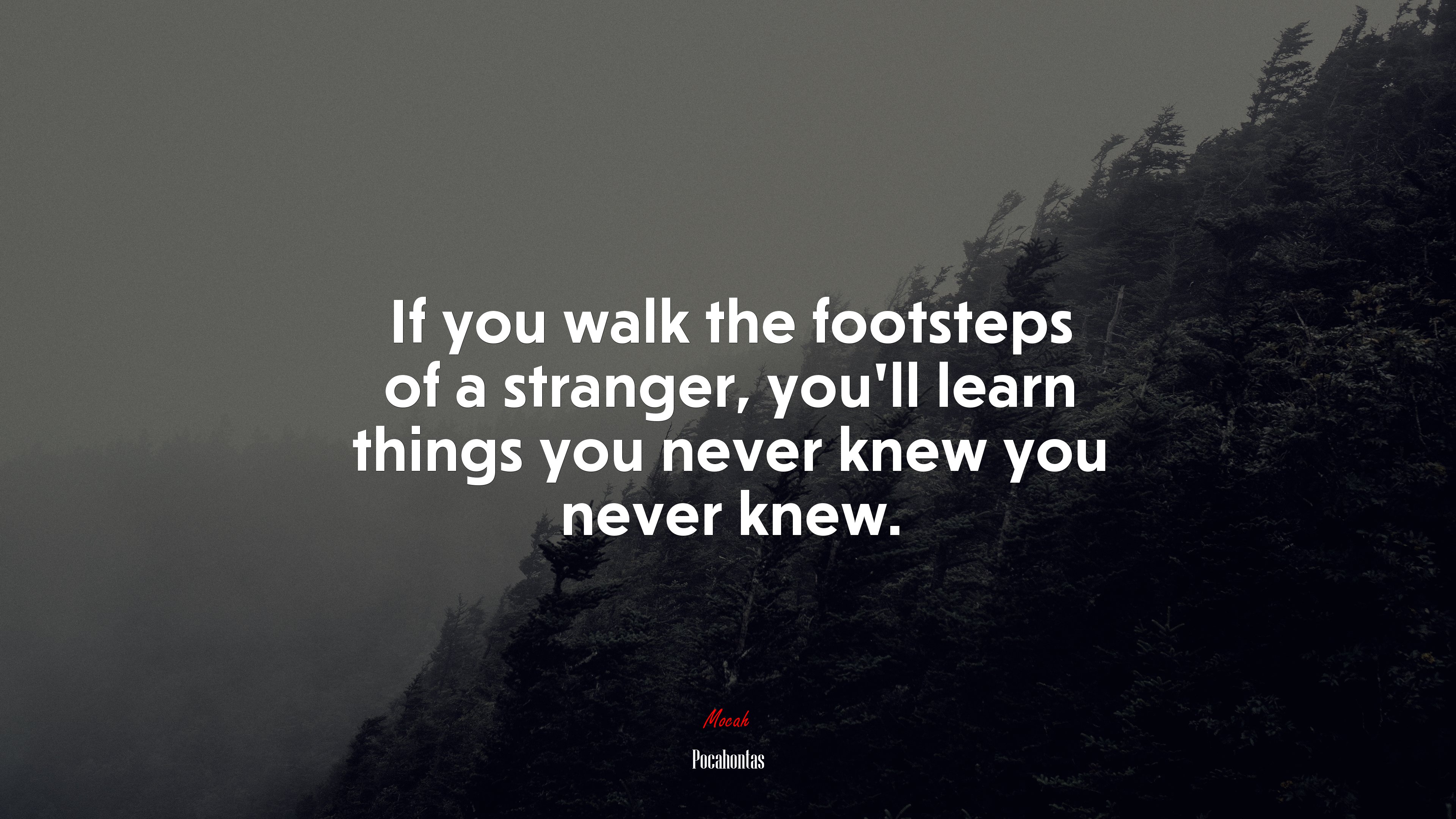 If you walk the footsteps of a stranger, you’ll learn things you never knew you never knew. | Pocahontas quote HD Wallpaper