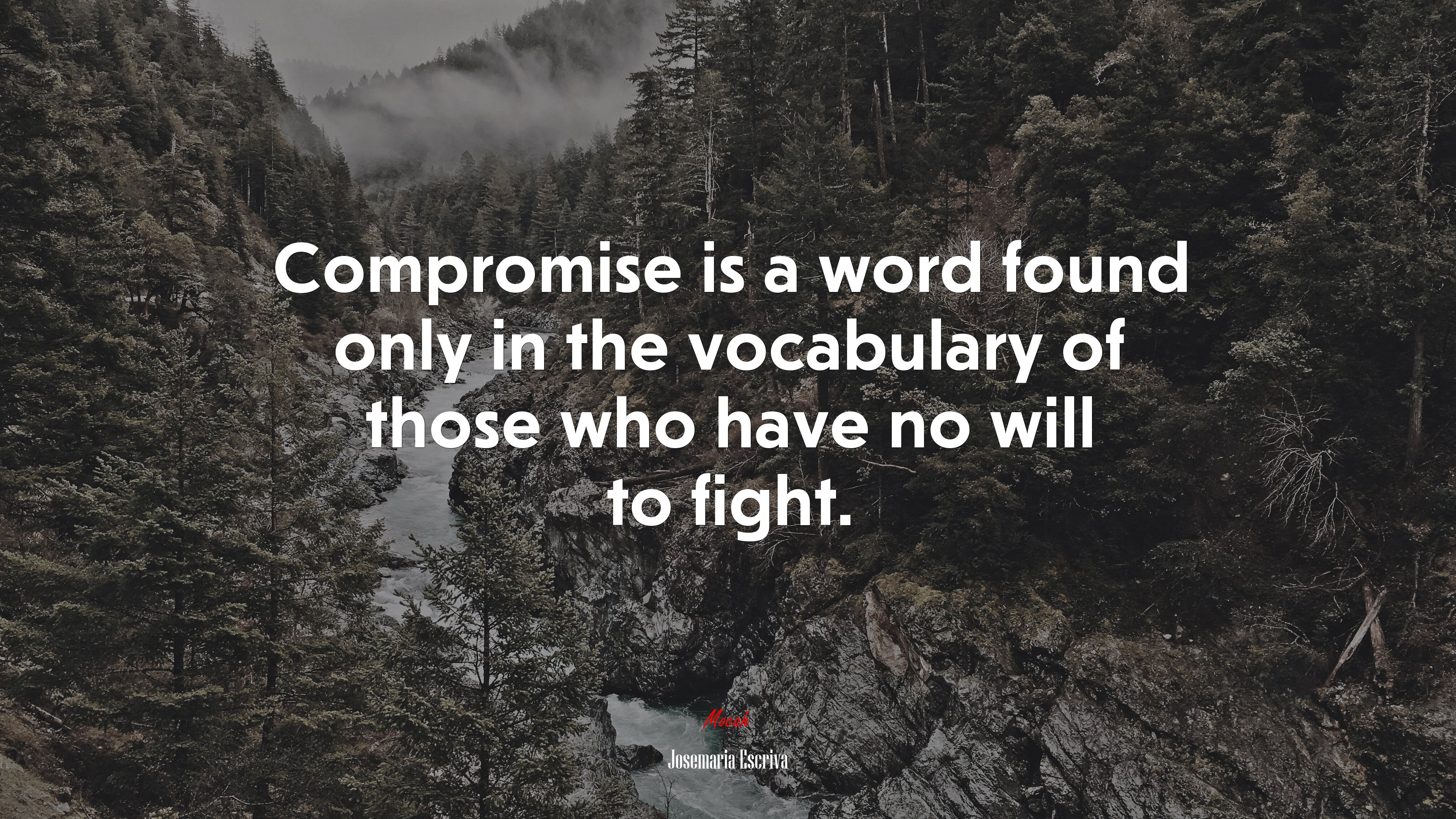 Compromise is a word found only in the vocabulary of those who have no will to fight. | Josemaría Escrivá quote HD Wallpaper