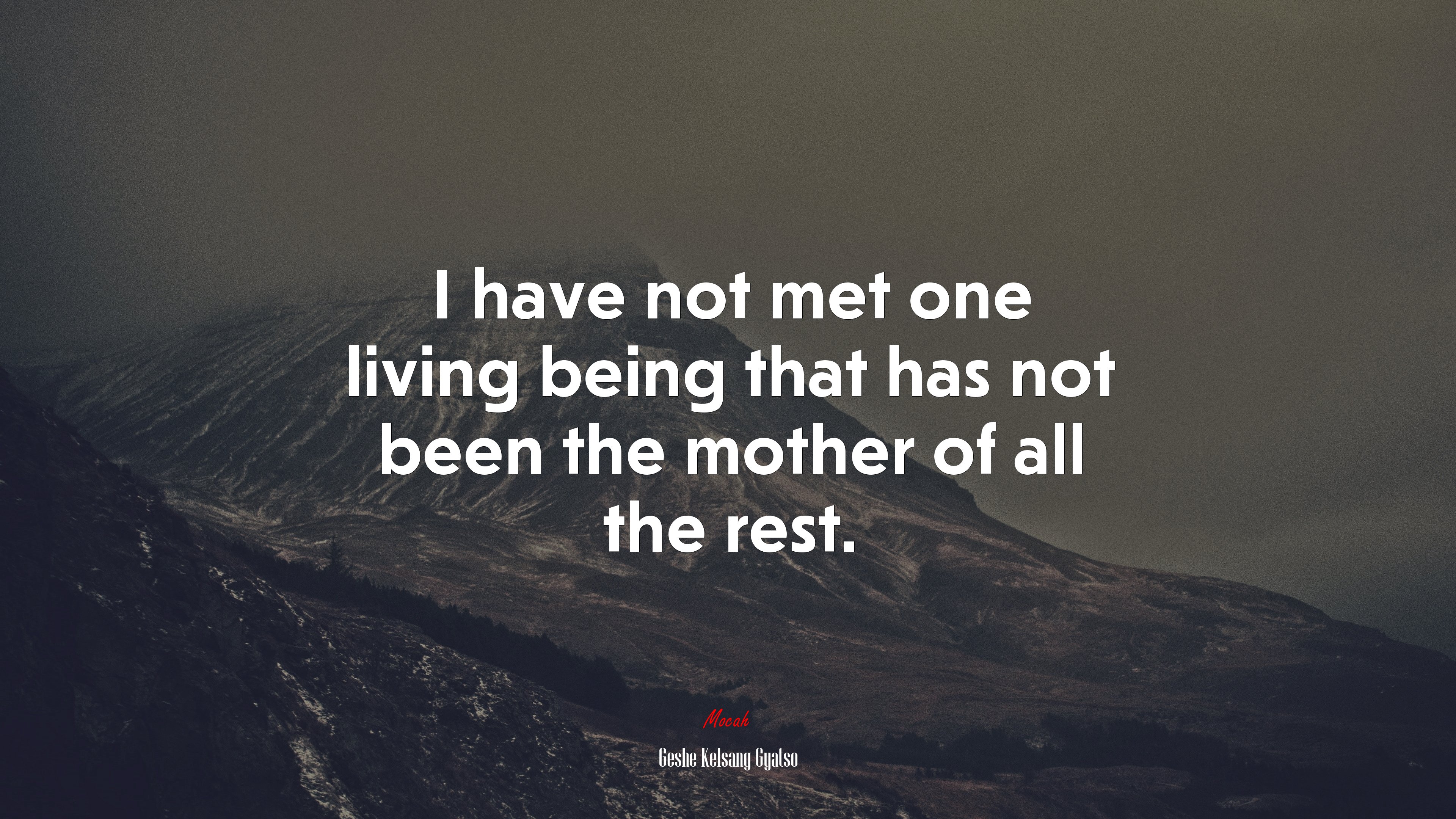 I have not met one living being that has not been the mother of all the rest. | Geshe Kelsang Gyatso quote HD Wallpaper