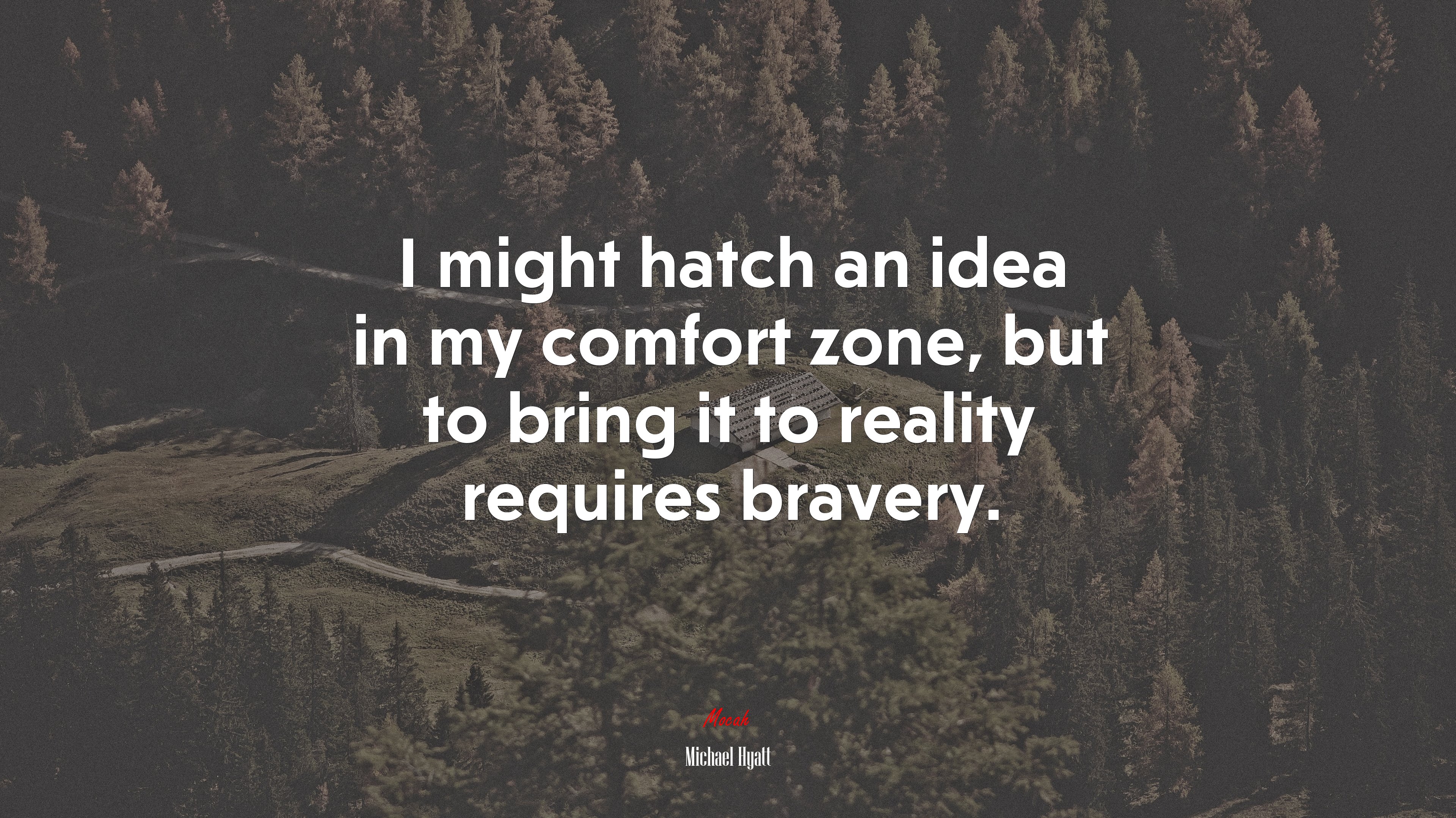 I might hatch an idea in my comfort zone, but to bring it to reality requires bravery. | Michael Hyatt quote HD Wallpaper