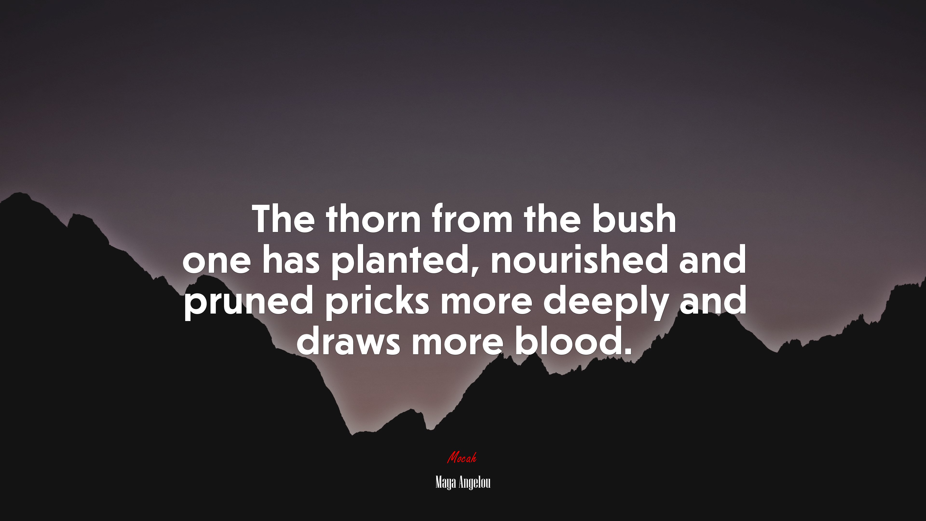 The thorn from the bush one has planted, nourished and pruned pricks more deeply and draws more blood. | Maya Angelou quote HD Wallpaper