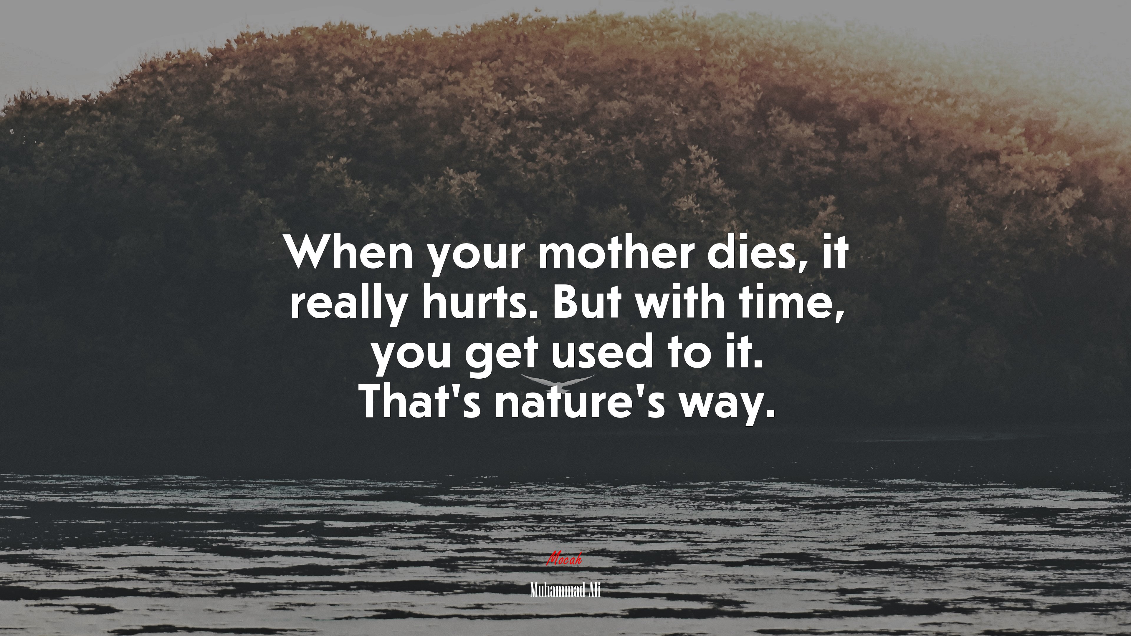 When your mother dies, it really hurts. But with time, you get used to it. That’s nature’s way. | Muhammad Ali quote HD Wallpaper