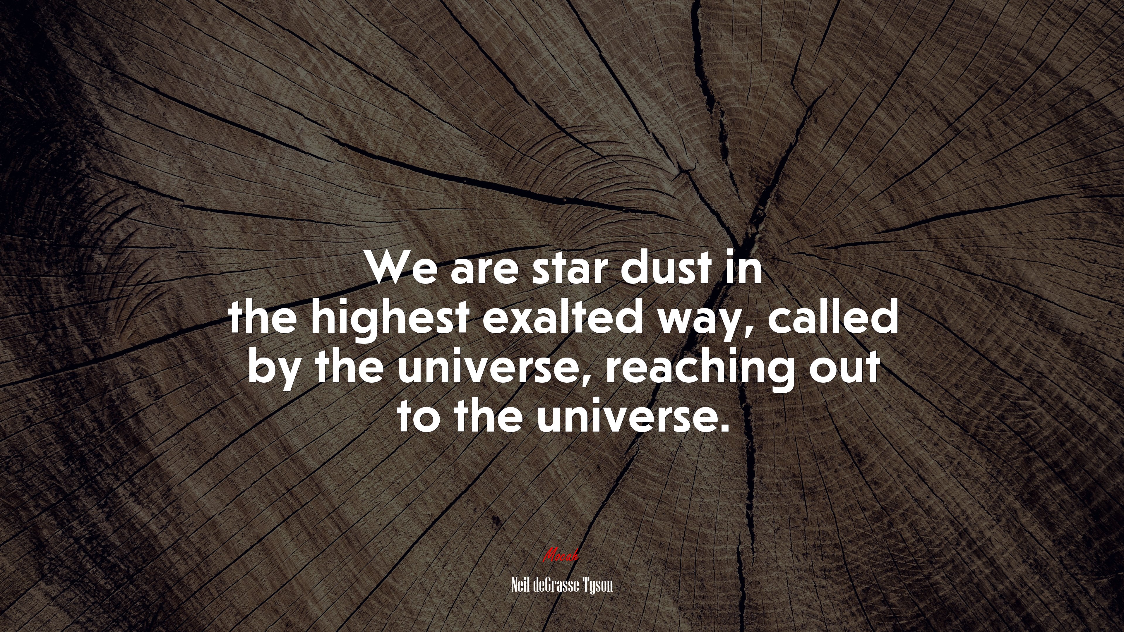 We are star dust in the highest exalted way, called by the universe, reaching out to the universe. | Neil deGrasse Tyson quote HD Wallpaper