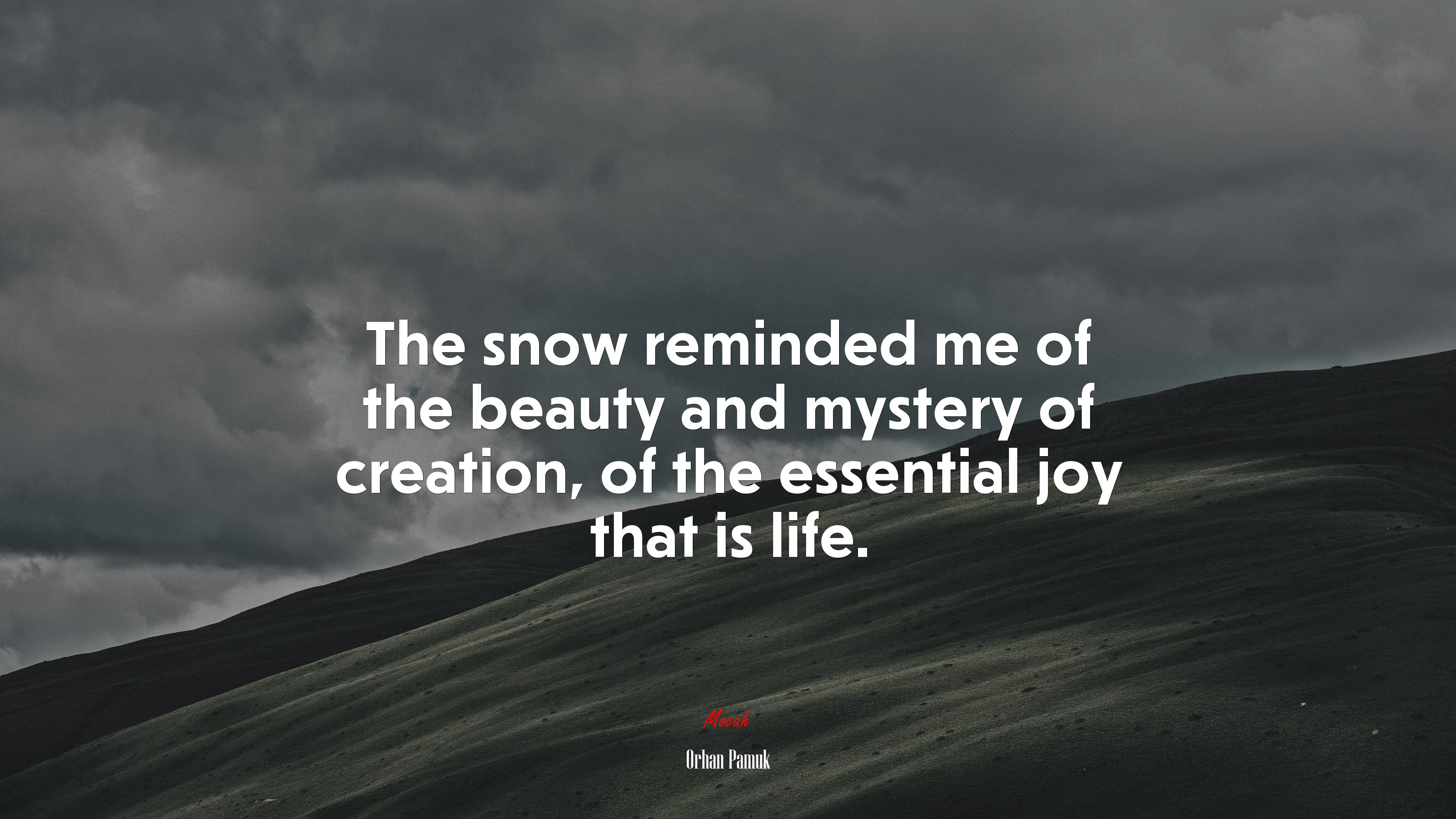 The snow reminded me of the beauty and mystery of creation, of the essential joy that is life. | Orhan Pamuk quote HD Wallpaper