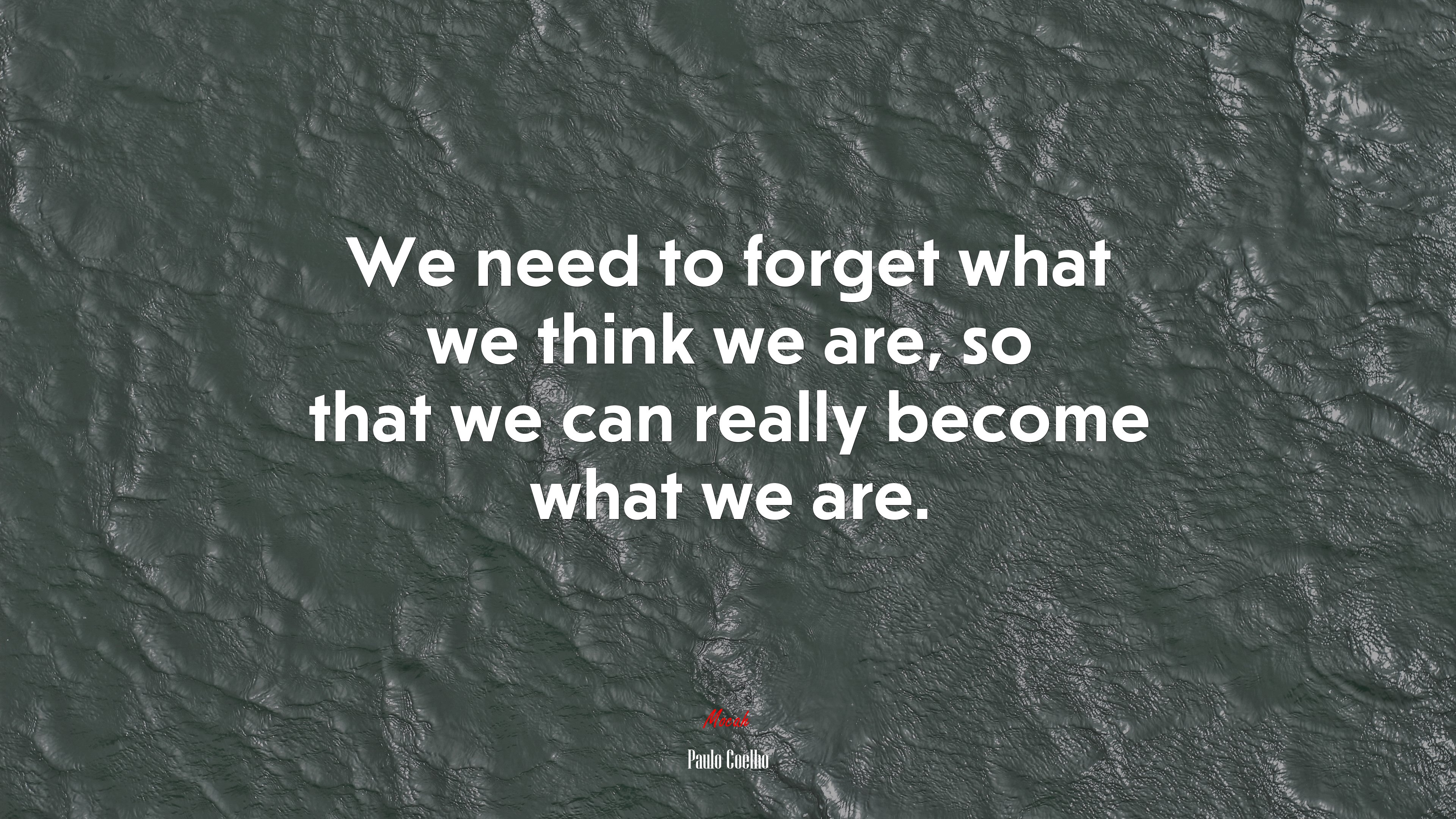 We need to forget what we think we are, so that we can really become what we are. | Paulo Coelho quote HD Wallpaper