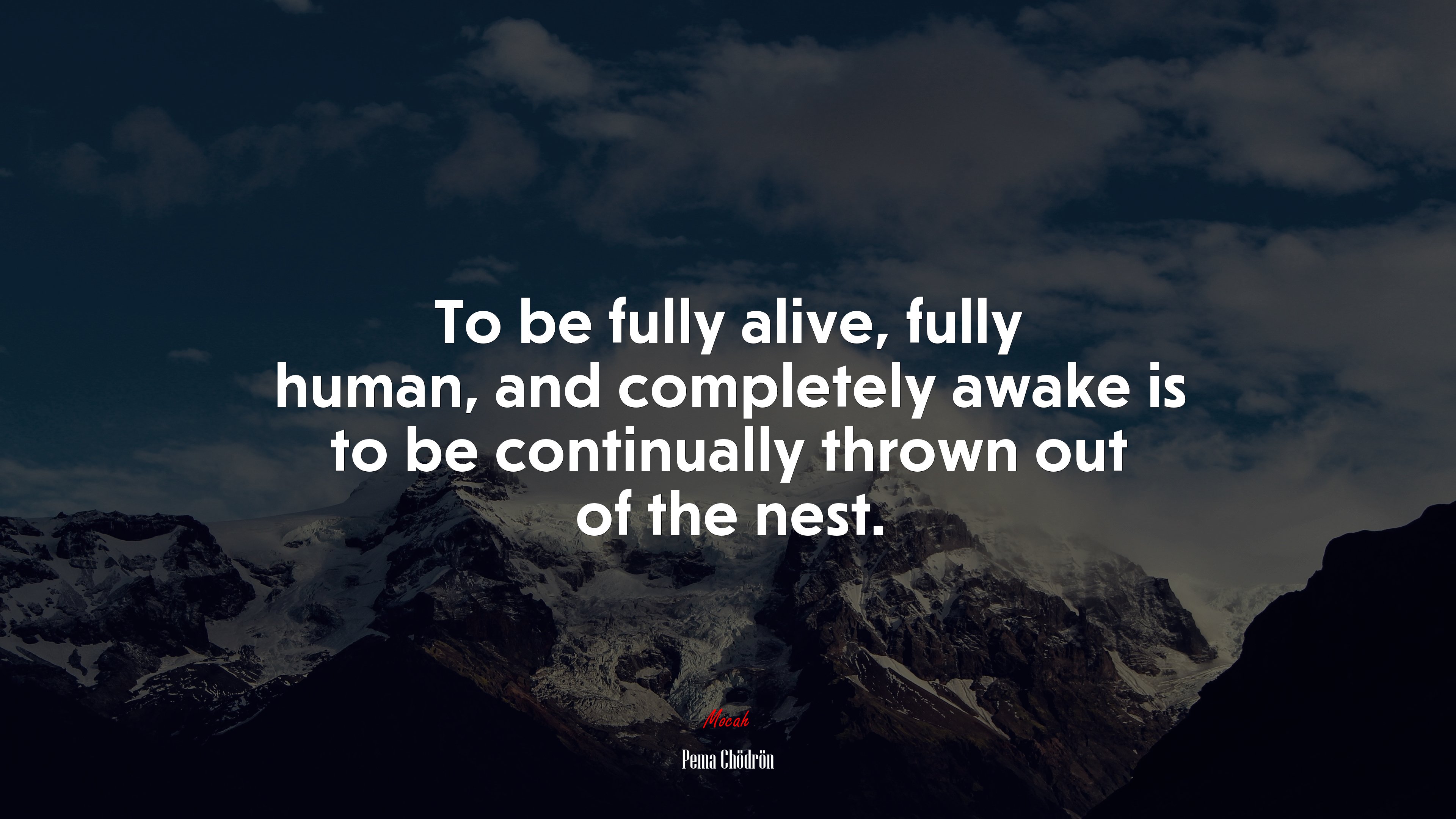 To be fully alive, fully human, and completely awake is to be continually thrown out of the nest. | Pema Chödrön quote HD Wallpaper