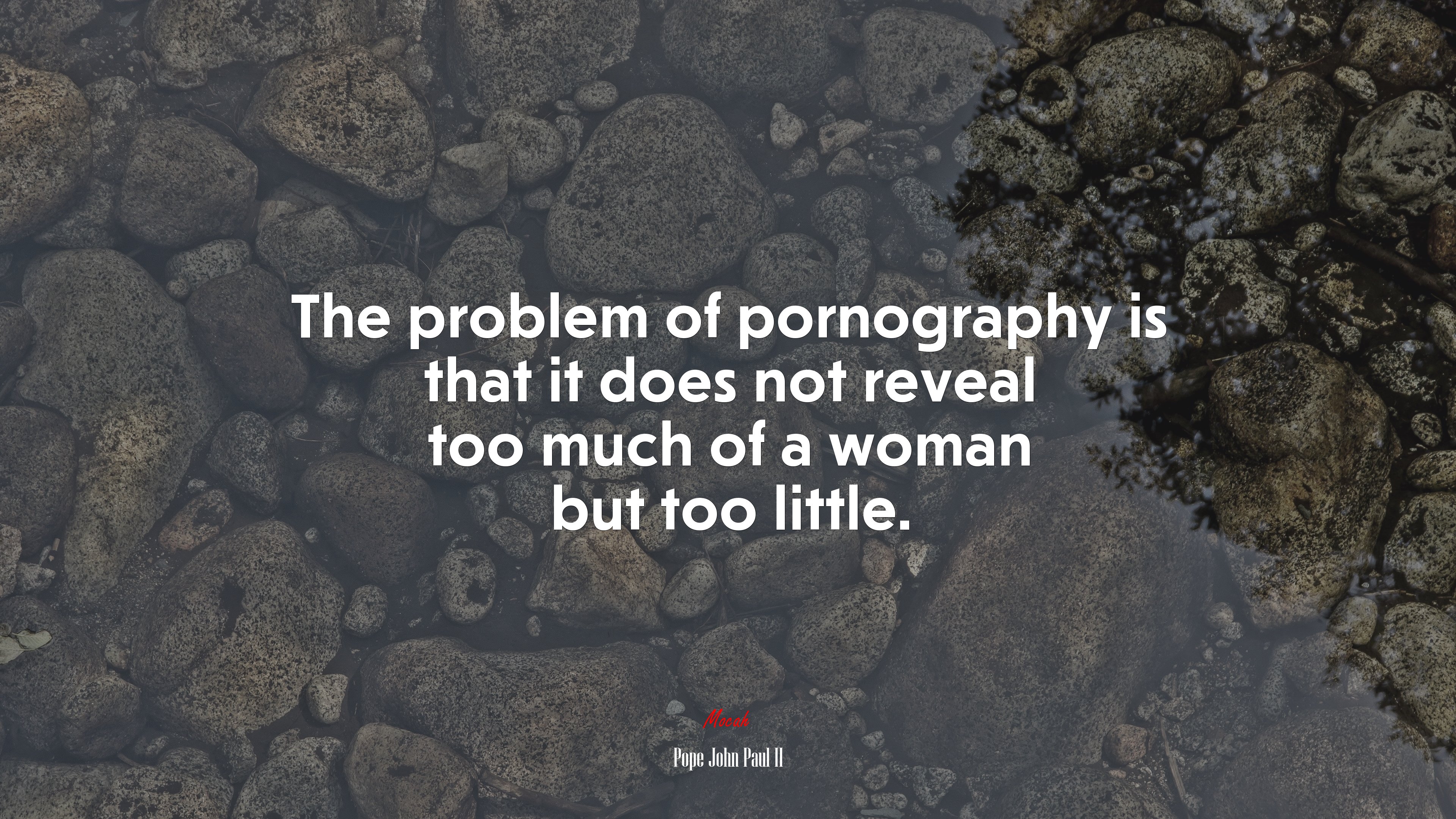 The problem of pornography is that it does not reveal too much of a woman but too little. | Pope John Paul II quote HD Wallpaper