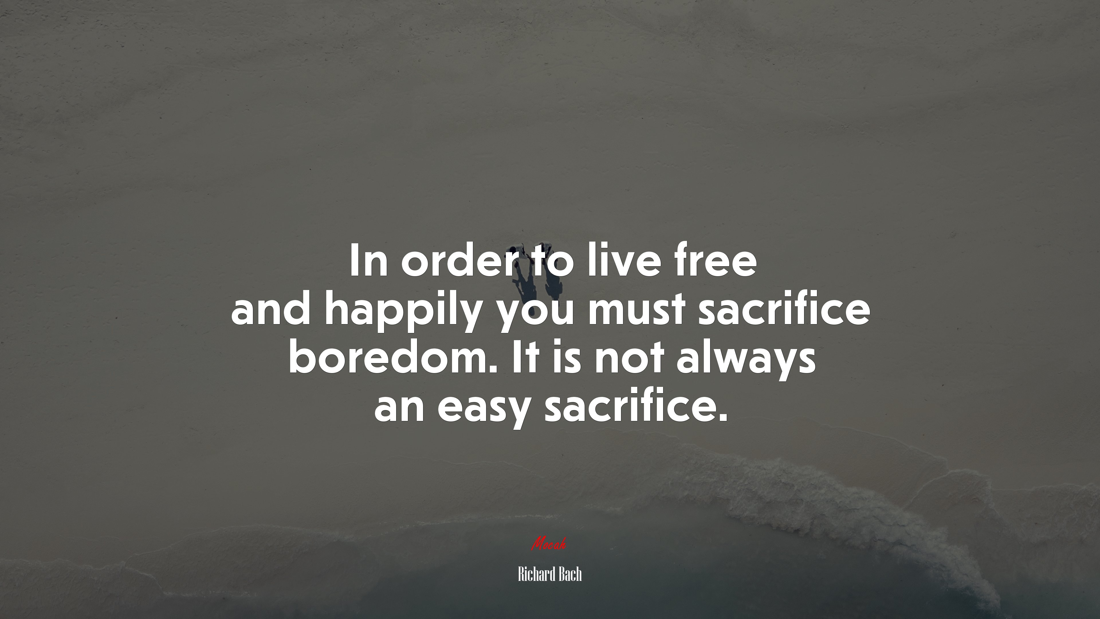In order to live free and happily you must sacrifice boredom. It is not always an easy sacrifice. | Richard Bach quote HD Wallpaper