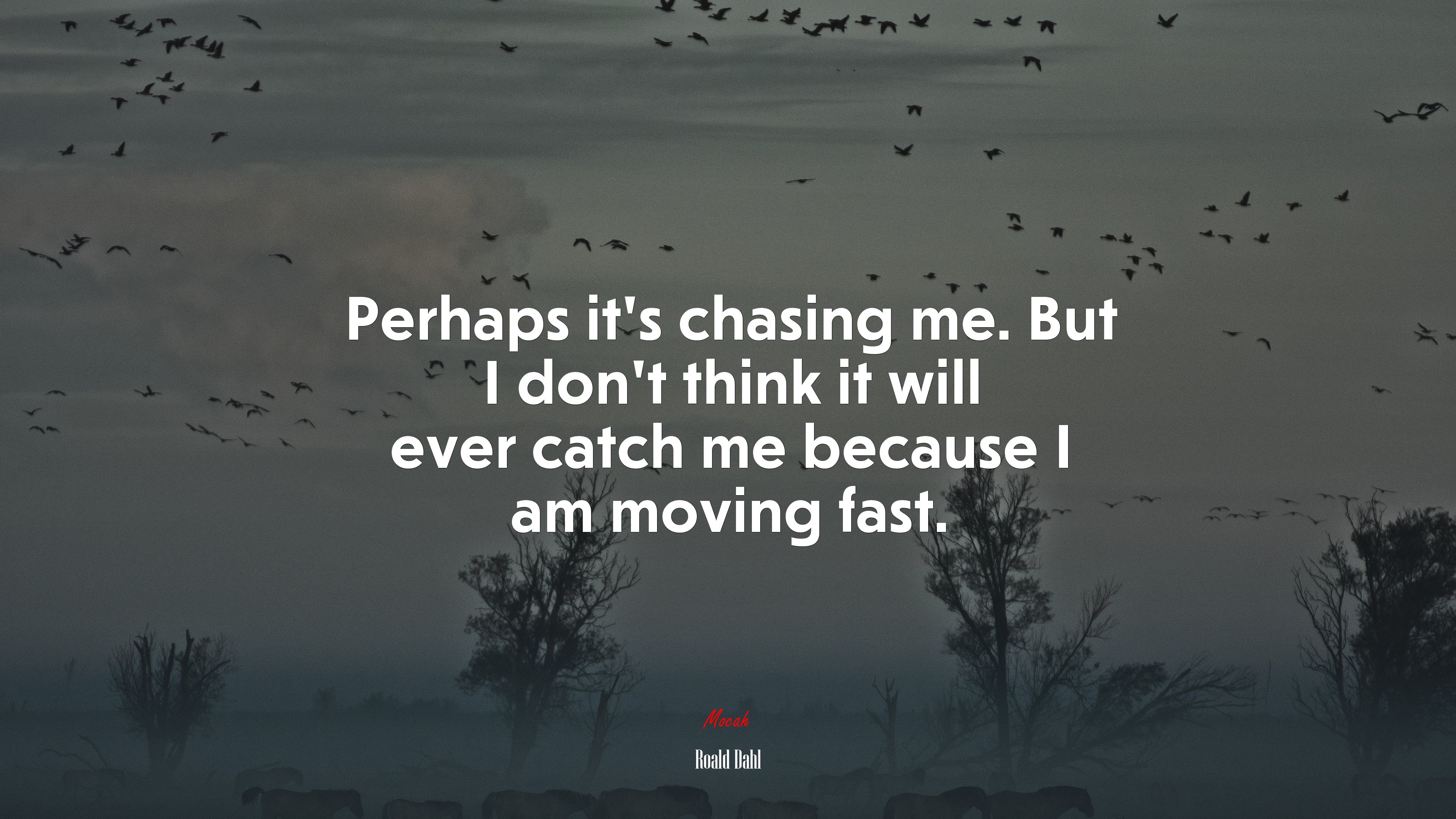 Perhaps it’s chasing me. But I don’t think it will ever catch me because I am moving fast. | Roald Dahl quote HD Wallpaper
