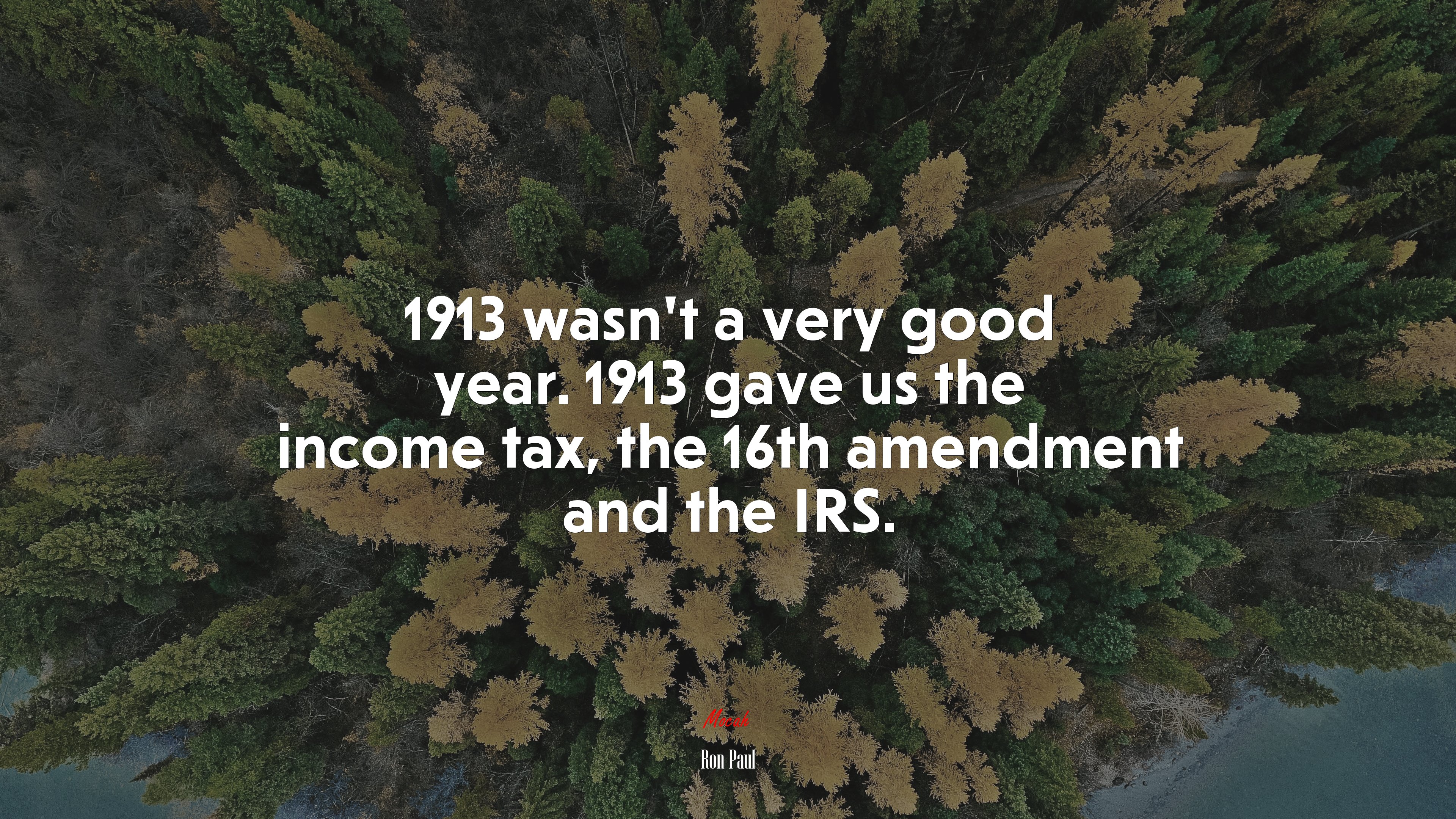 1913 wasn’t a very good year. 1913 gave us the income tax, the 16th amendment and the IRS. | Ron Paul quote HD Wallpaper