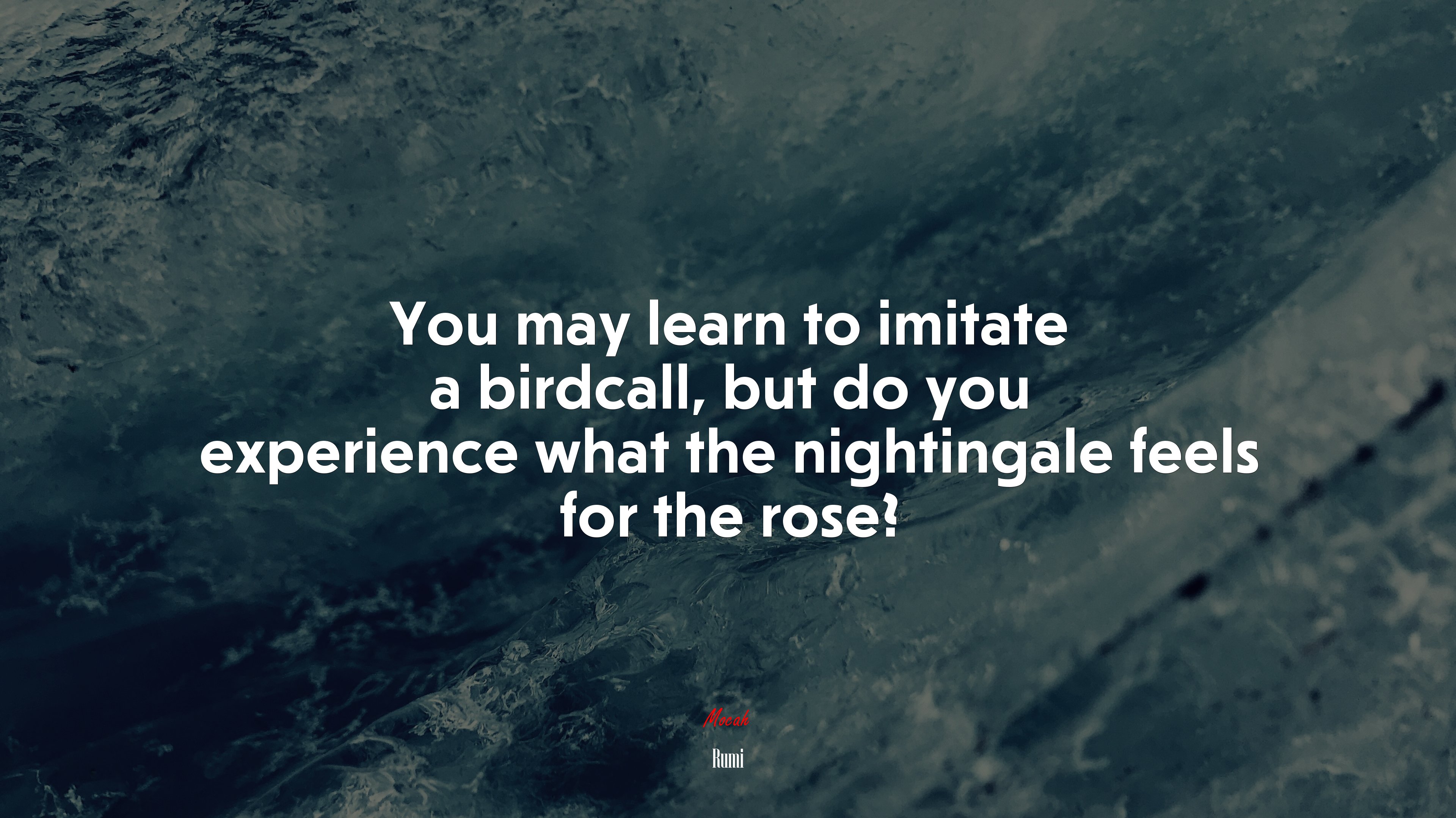 You may learn to imitate a birdcall, but do you experience what the nightingale feels for the rose? | Rumi quote HD Wallpaper