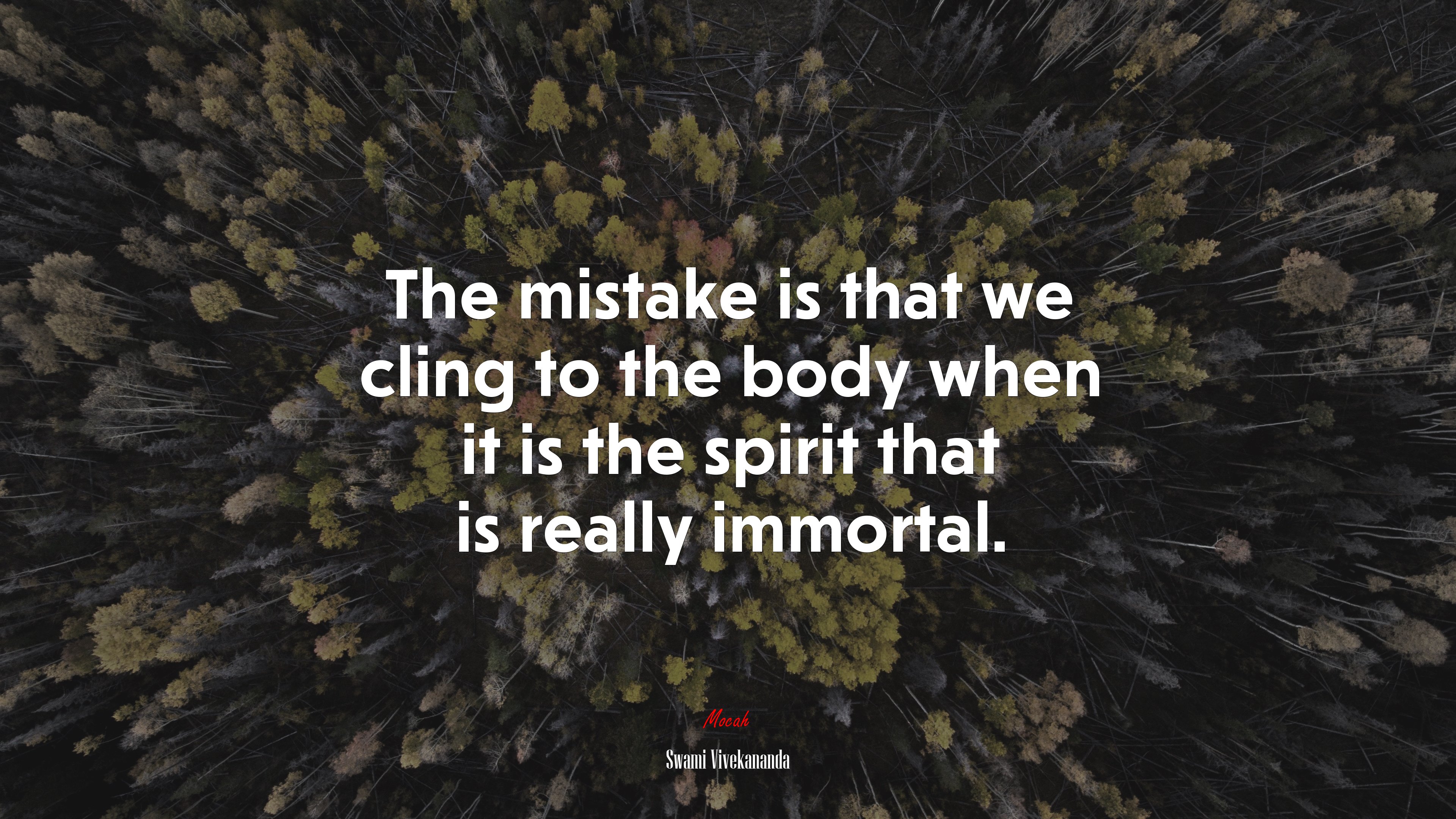 The mistake is that we cling to the body when it is the spirit that is really immortal. | Swami Vivekananda quote HD Wallpaper
