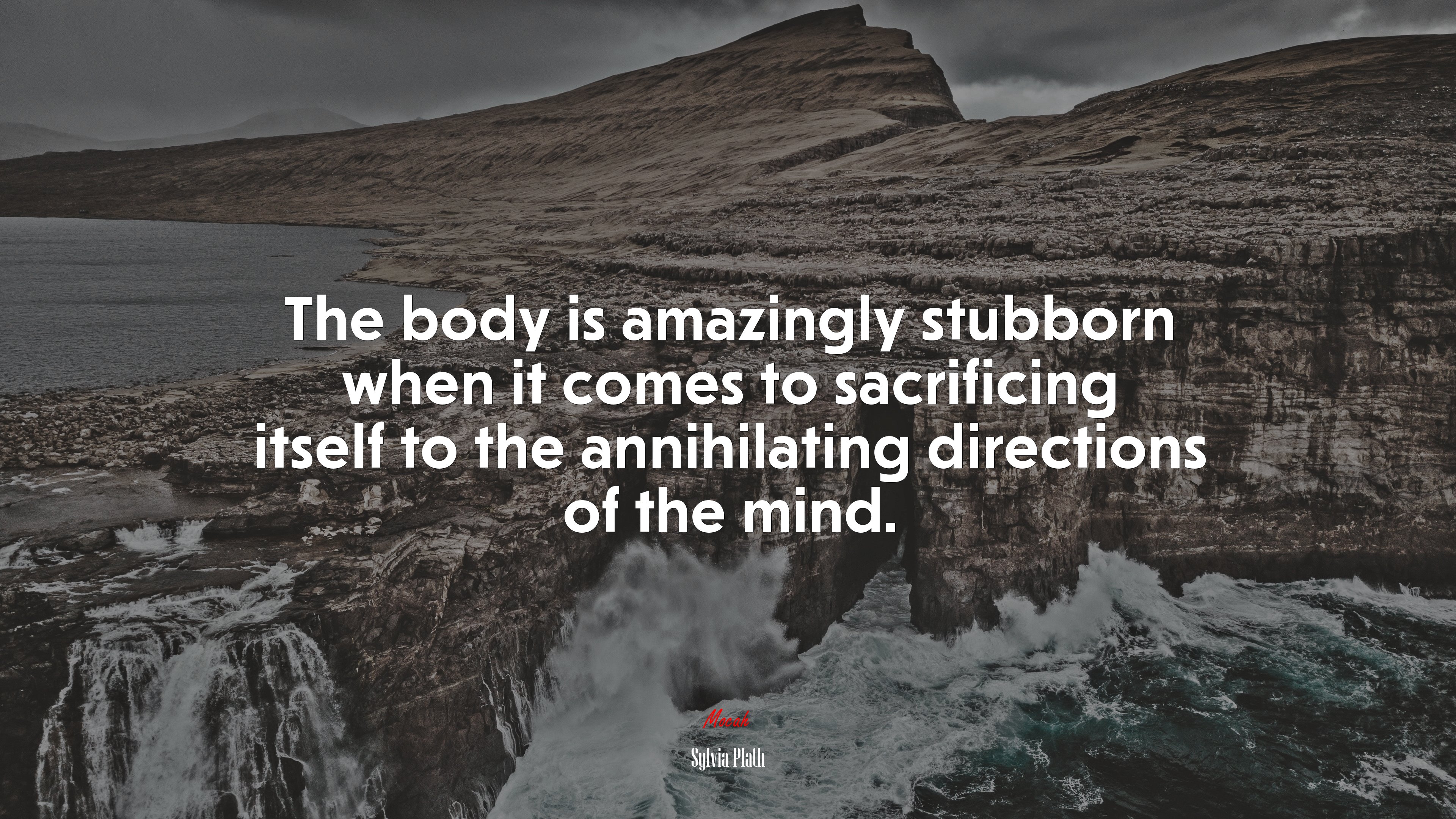 The body is amazingly stubborn when it comes to sacrificing itself to the annihilating directions of the mind. | Sylvia Plath quote HD Wallpaper