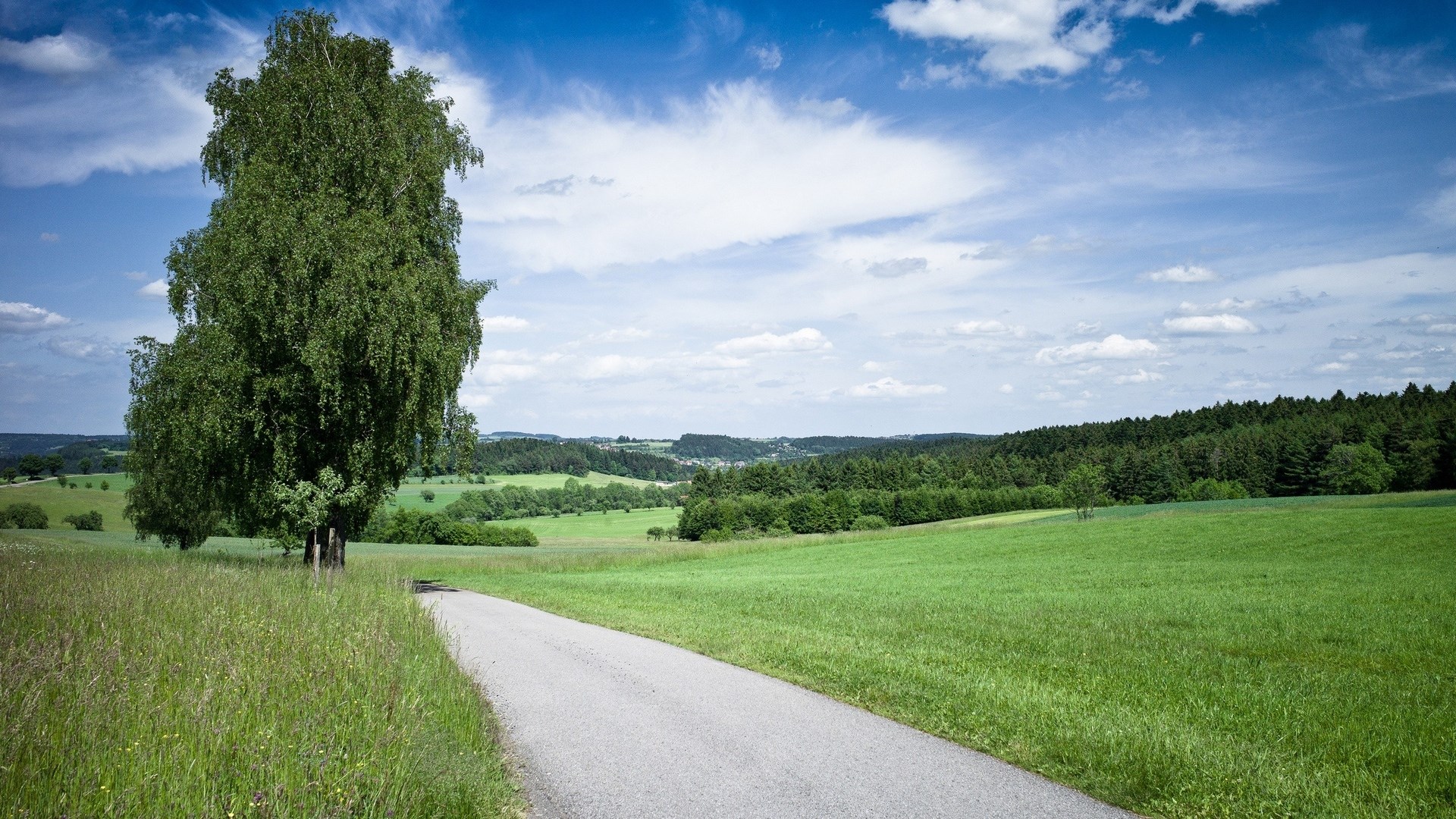 A lone tree beside a country road with rolling hills HD Wallpaper