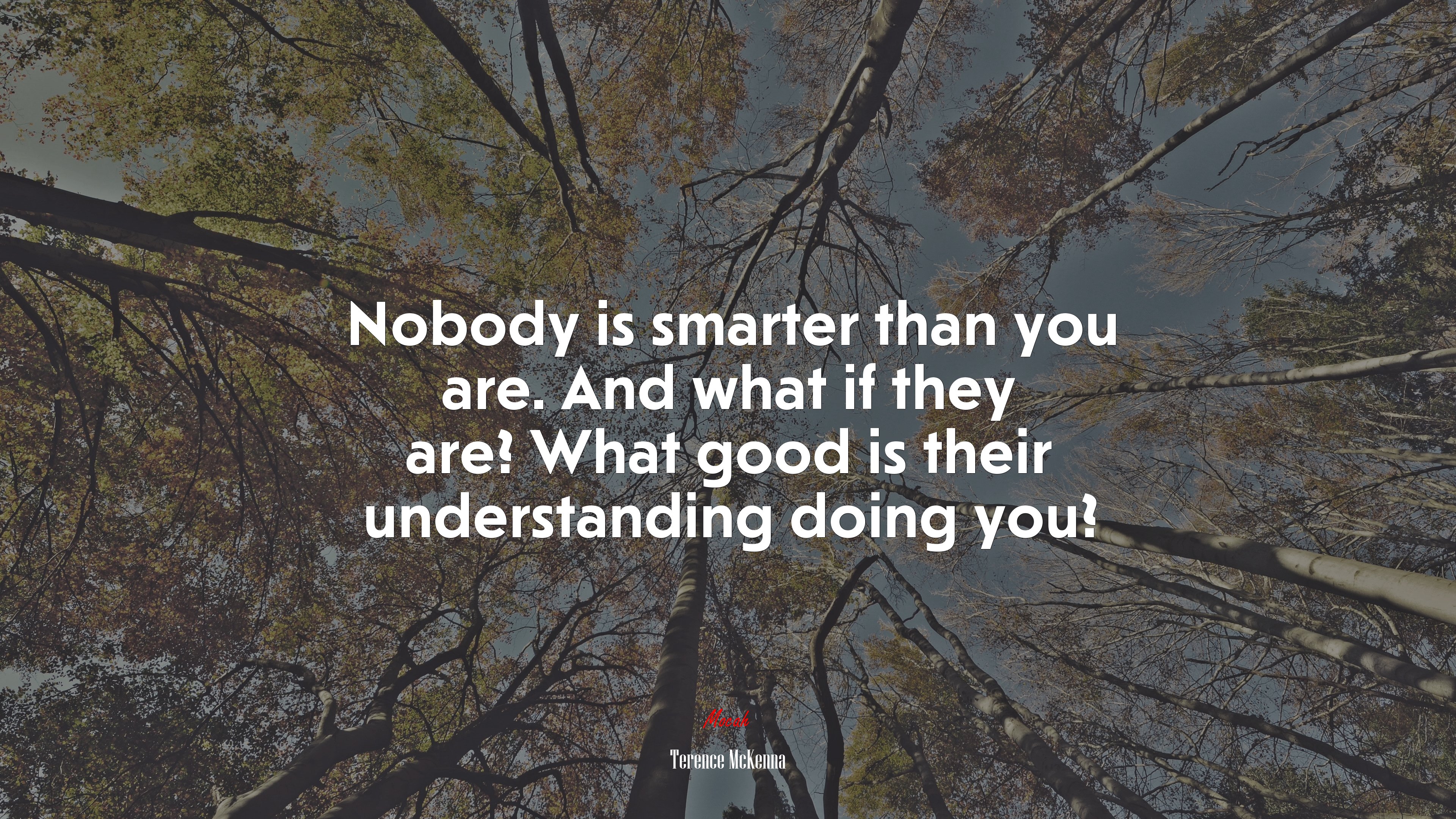 Nobody is smarter than you are. And what if they are? What good is their understanding doing you? | Terence McKenna quote HD Wallpaper