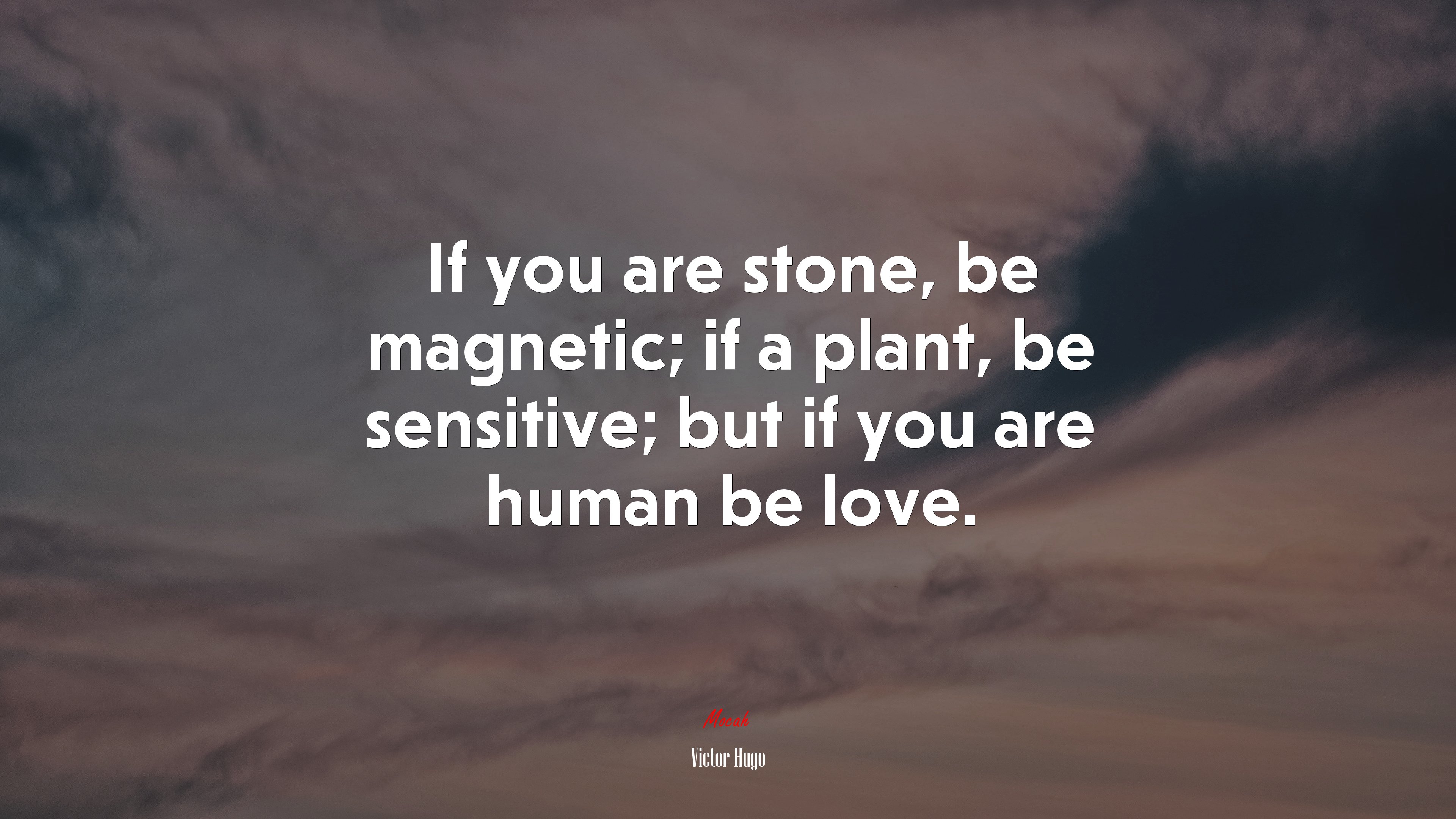 If you are stone, be magnetic; if a plant, be sensitive; but if you are human be love. | Victor Hugo quote HD Wallpaper