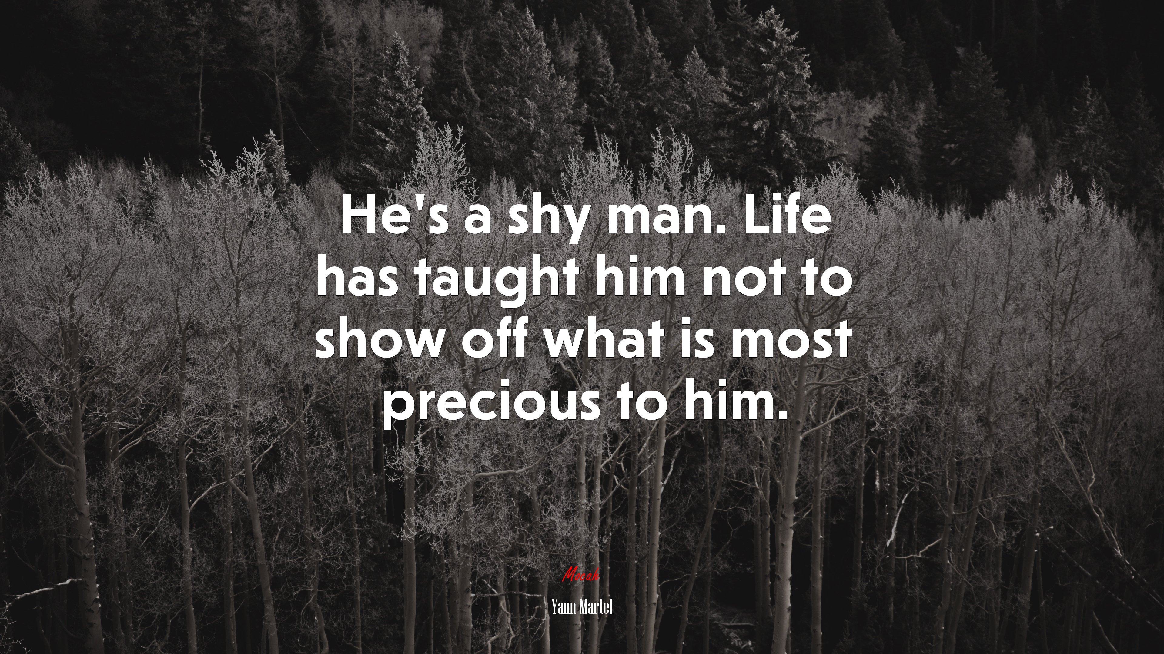 He’s a shy man. Life has taught him not to show off what is most precious to him. | Yann Martel quote HD Wallpaper
